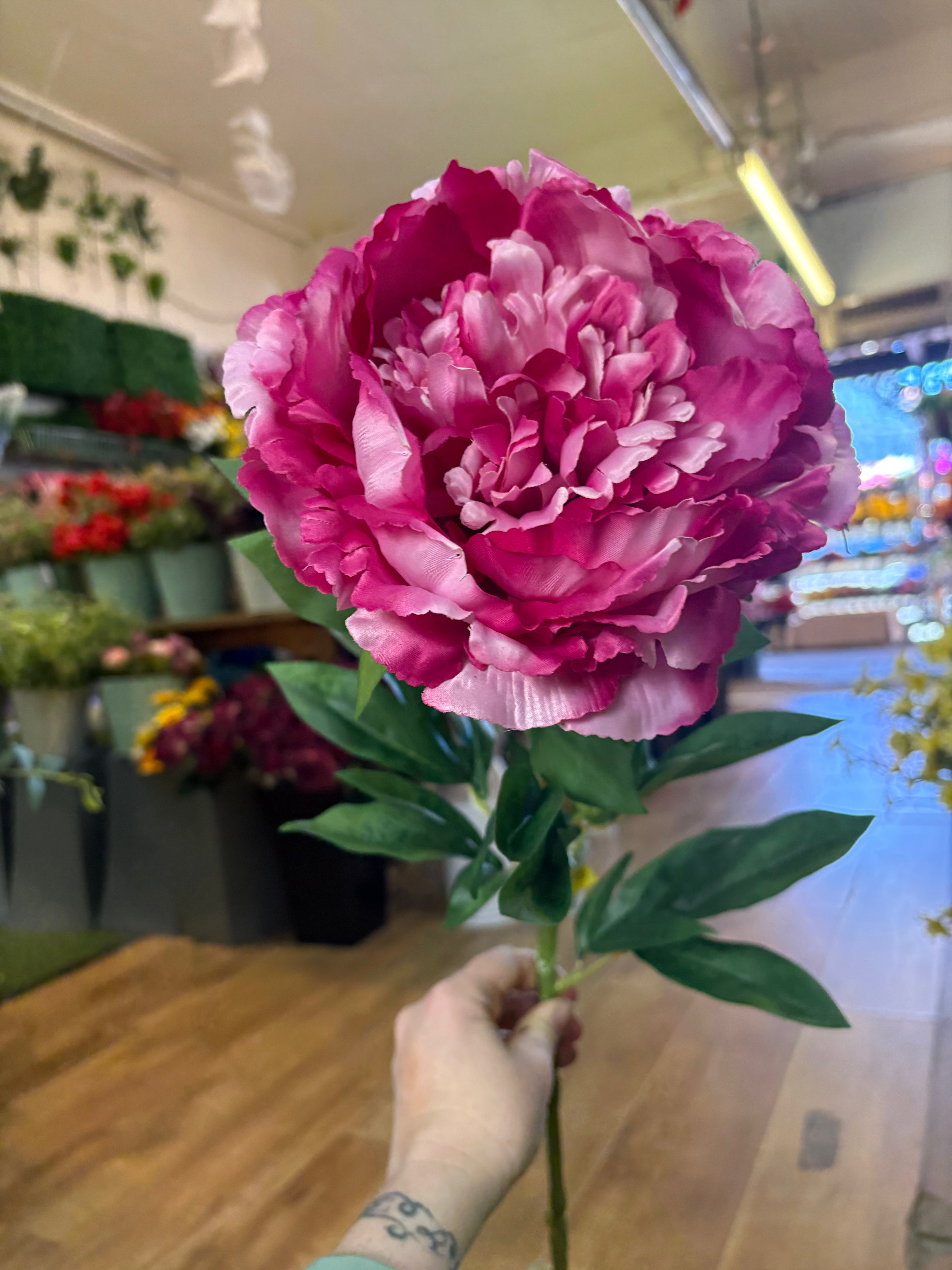 Tall extra large mixed pink peony and bud stem