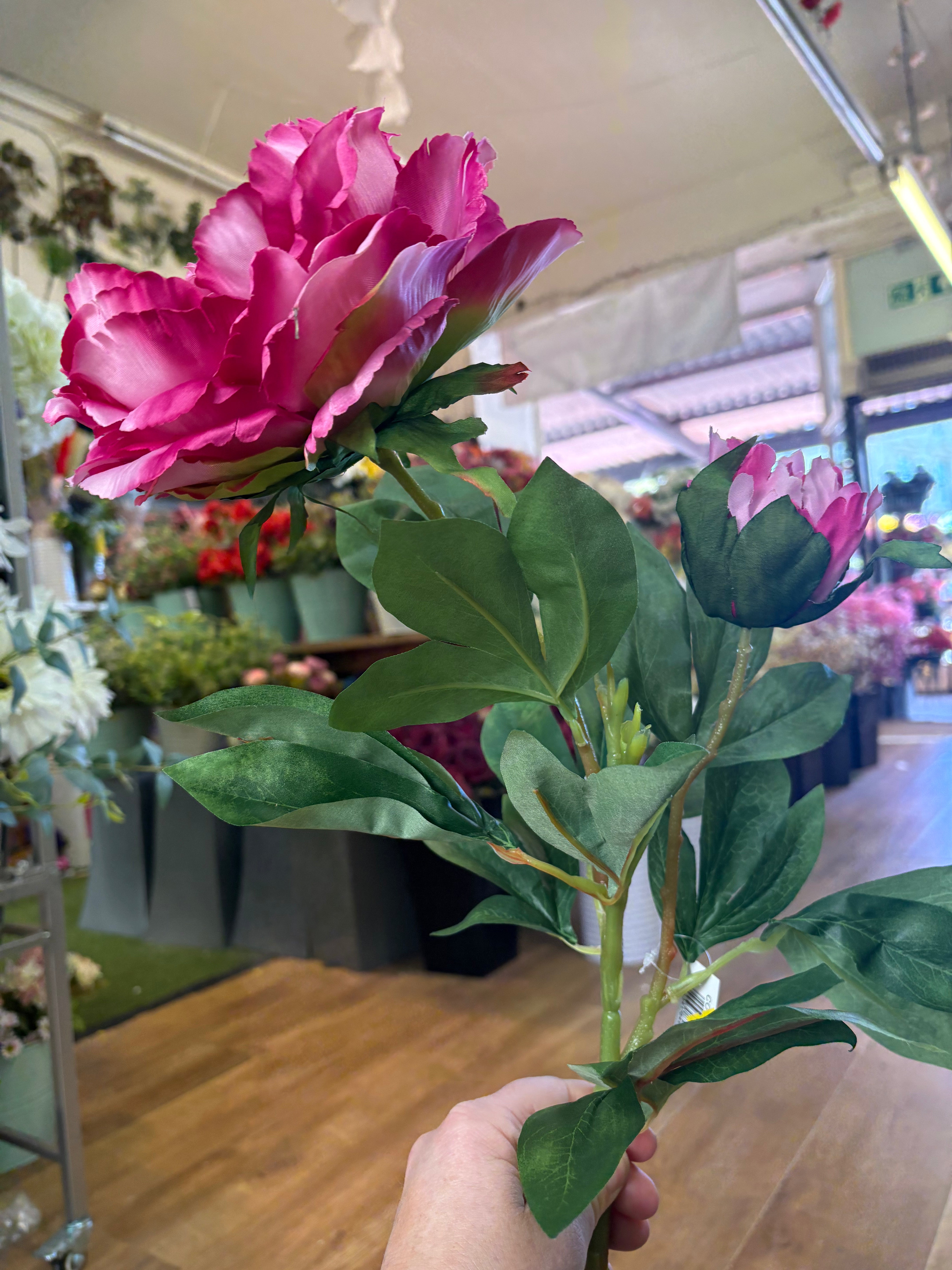 Tall extra large mixed pink peony and bud stem
