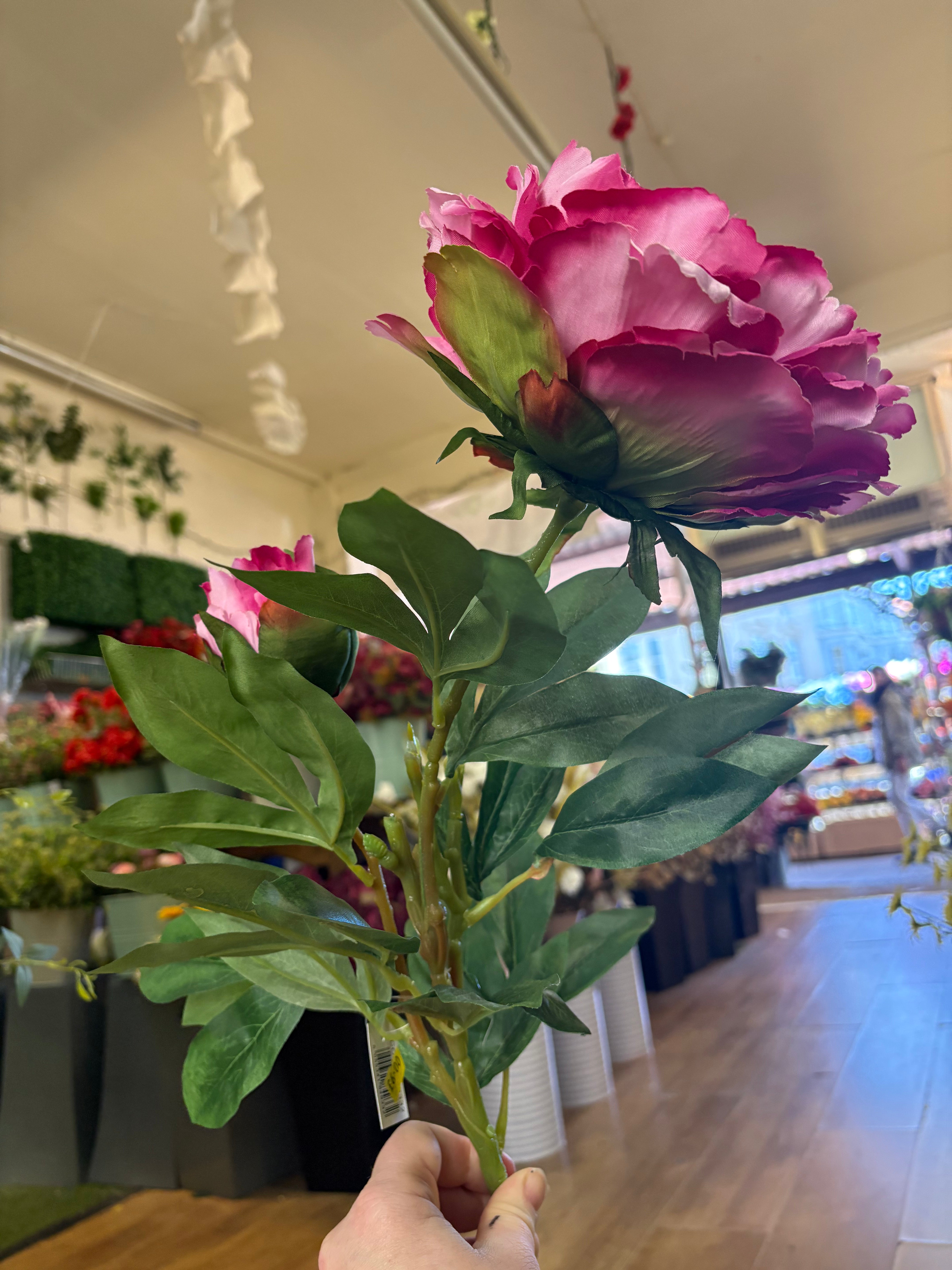 Tall extra large mixed pink peony and bud stem