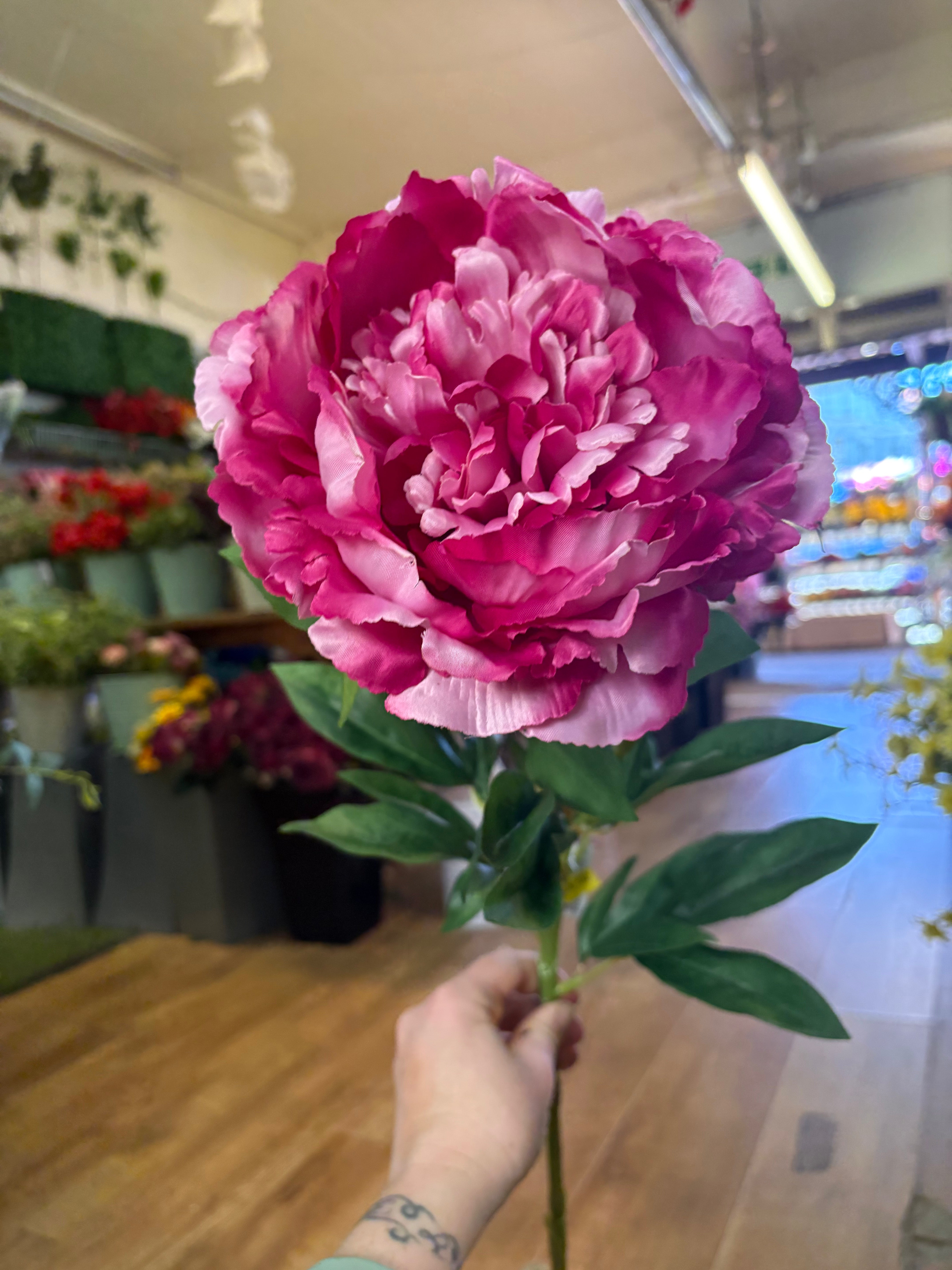 Tall extra large mixed pink peony and bud stem