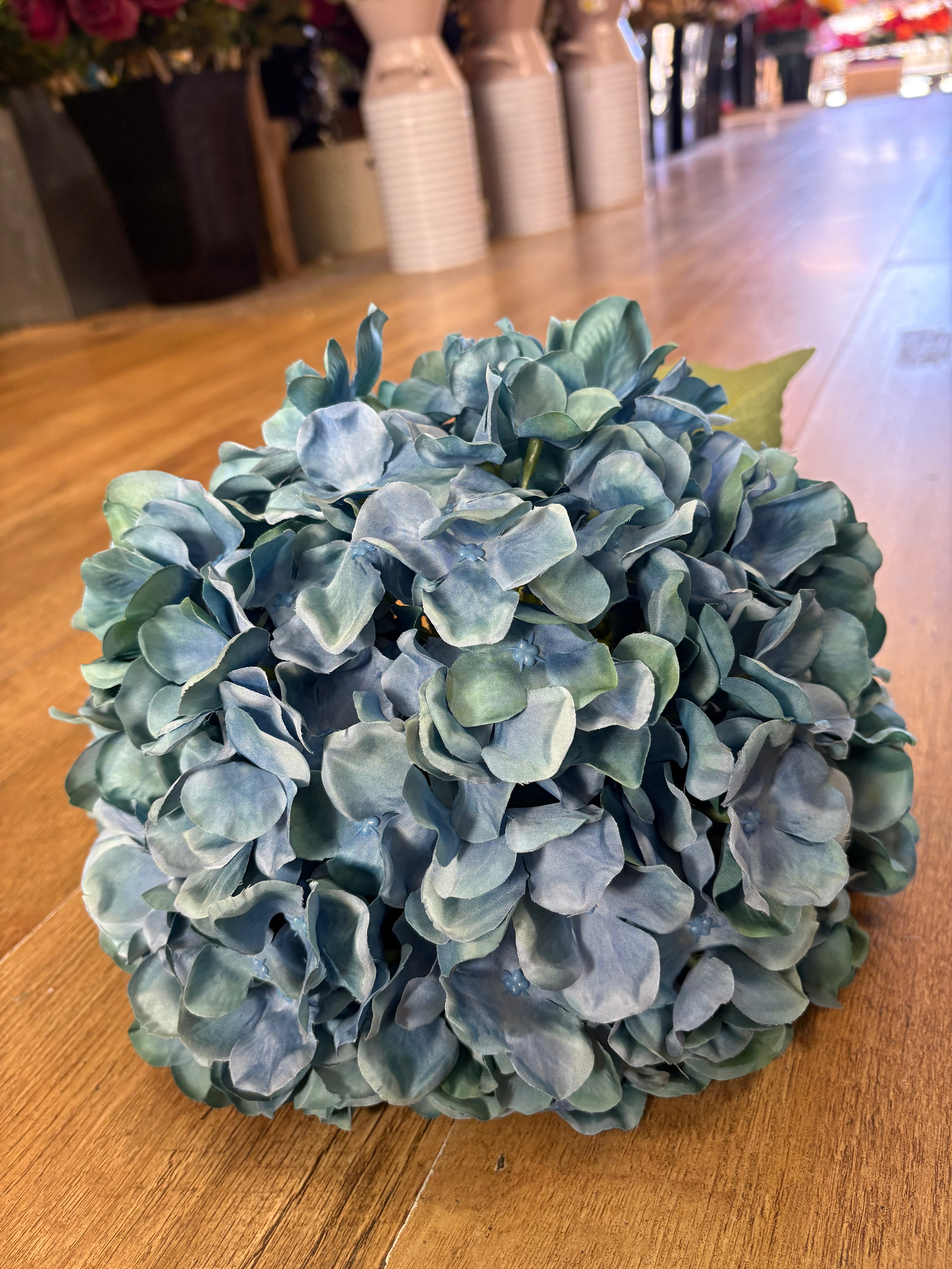 Giant head blue green premium hydrangea