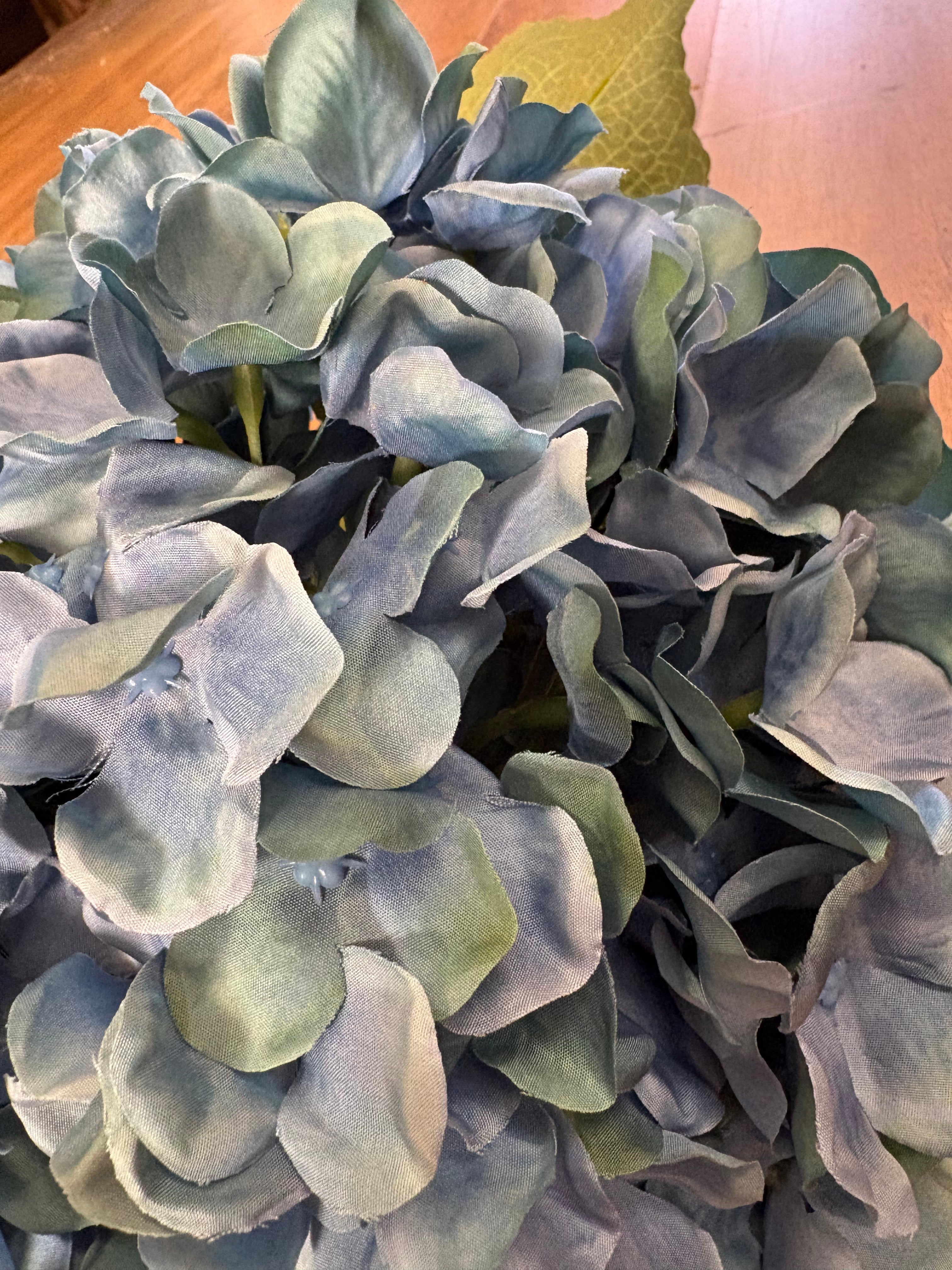 Giant head blue green premium hydrangea
