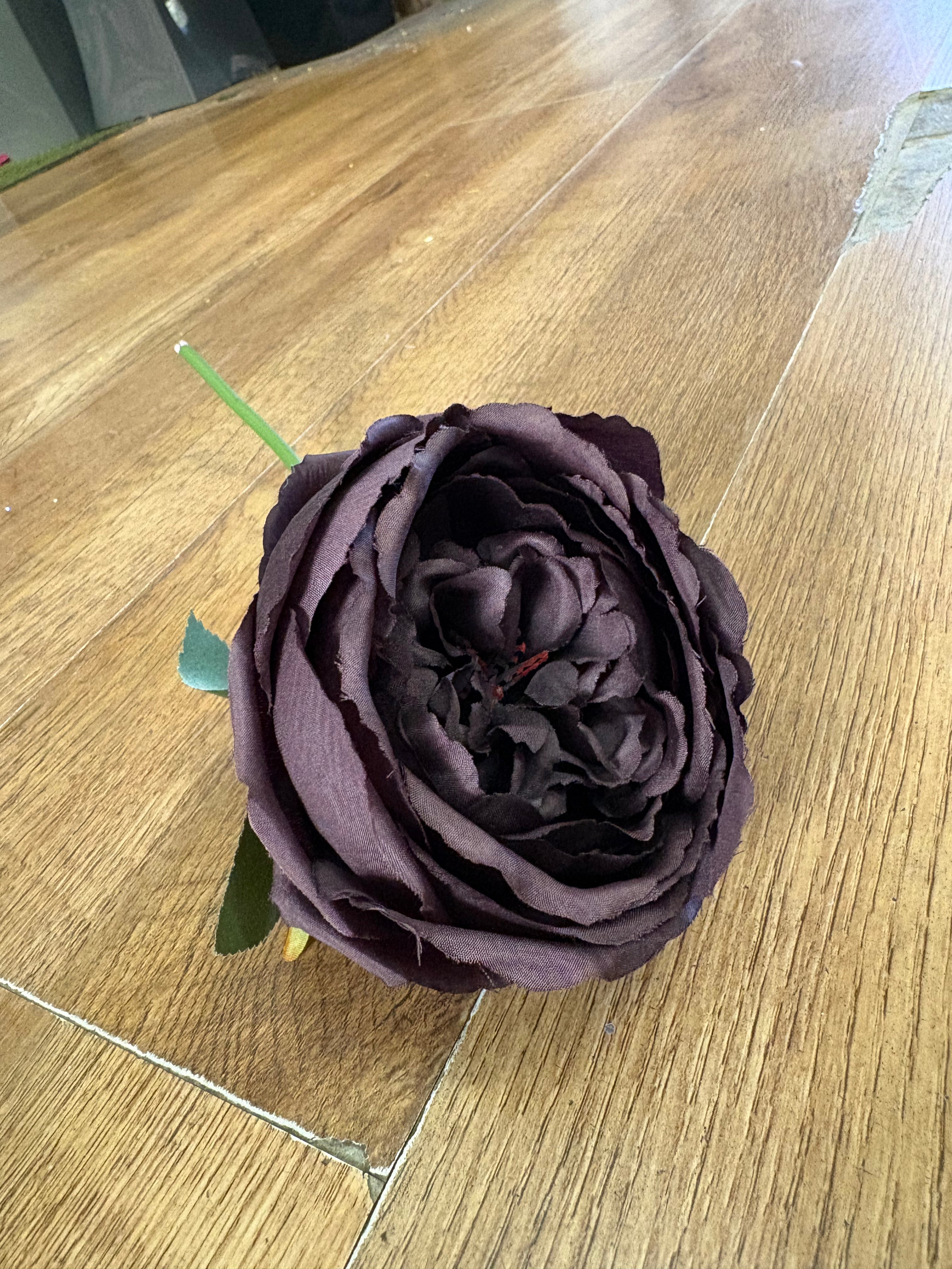 Short stem dark brown single peony