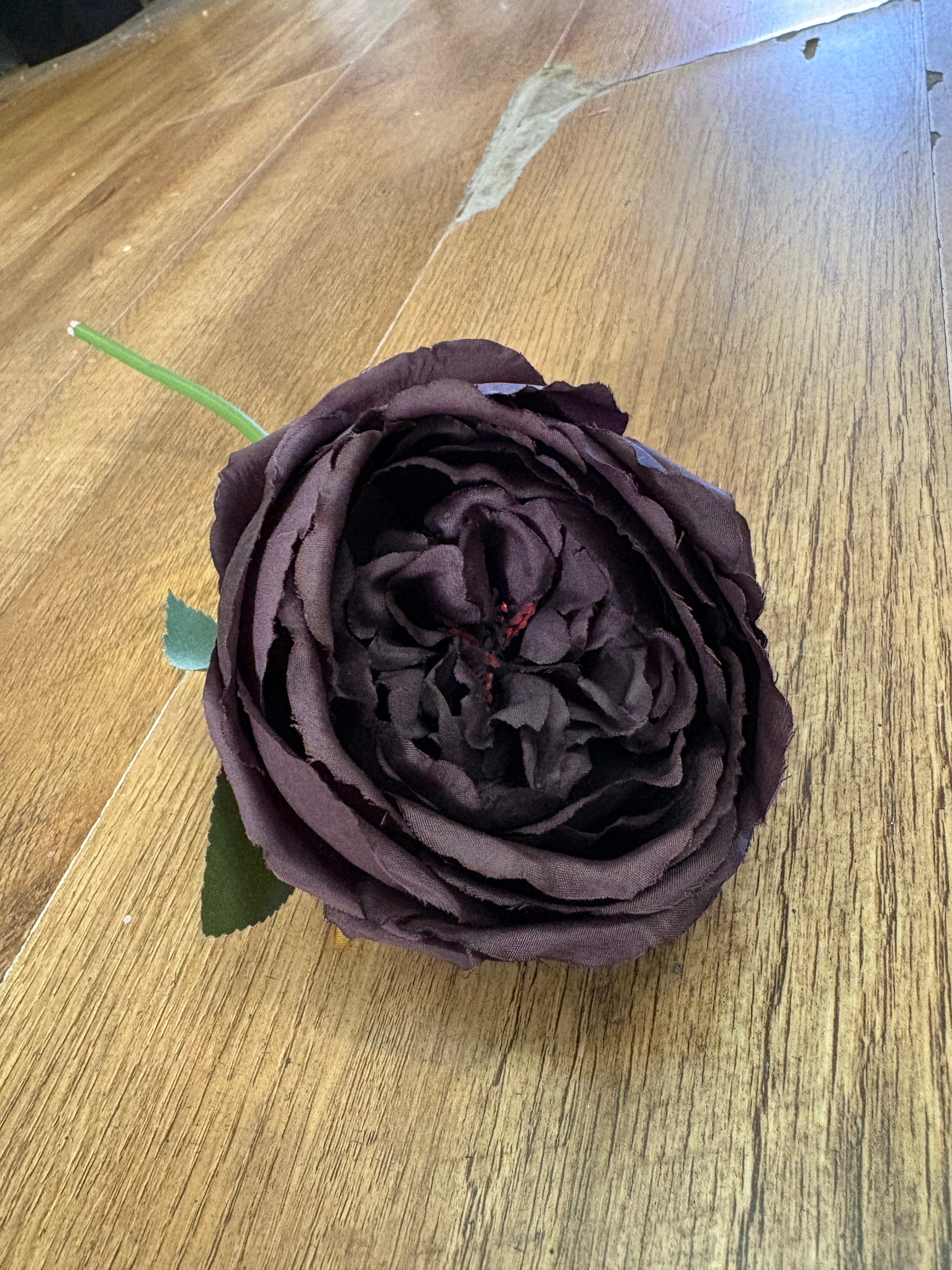 Short stem dark brown single peony