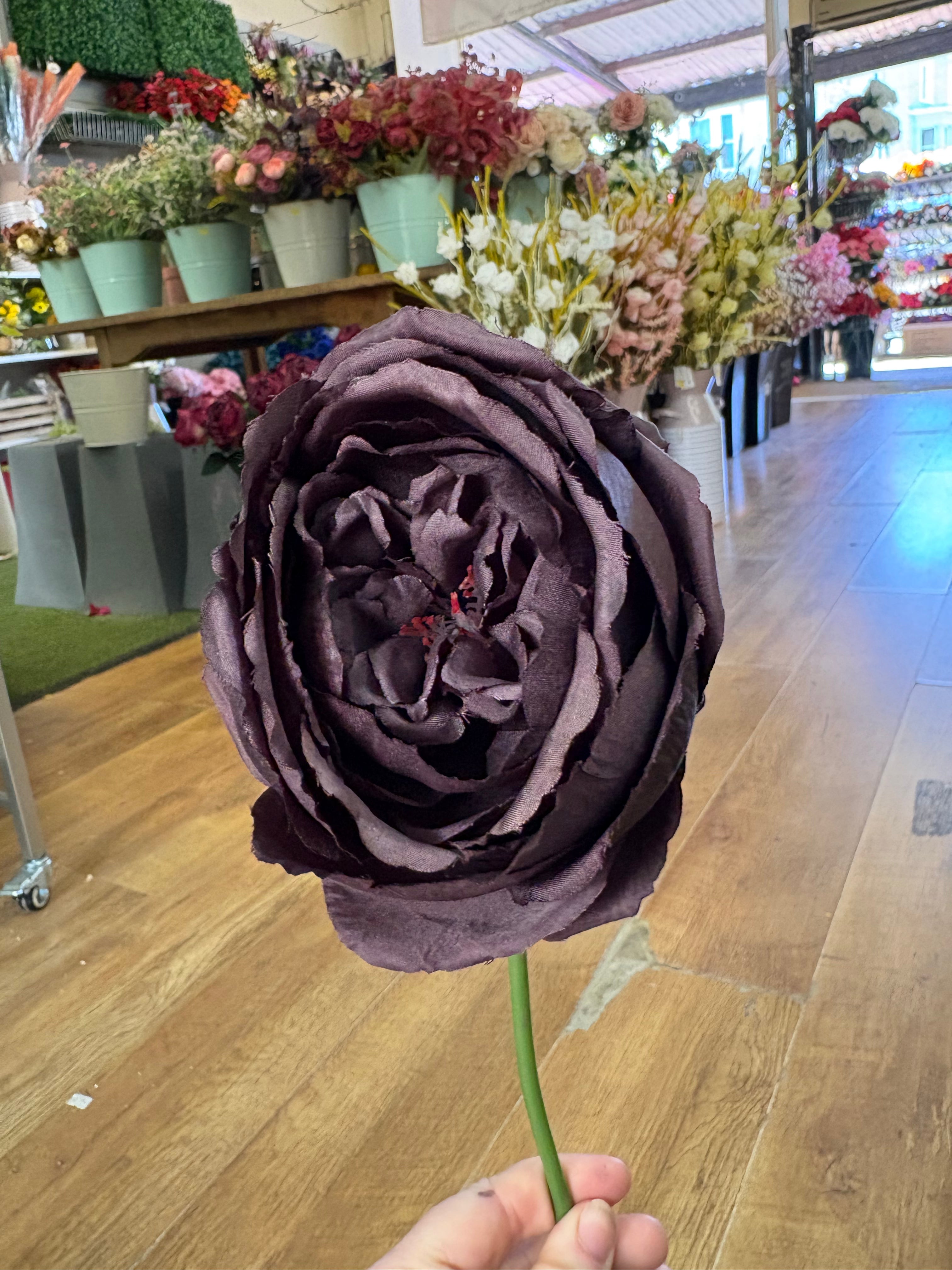 Short stem dark brown single peony