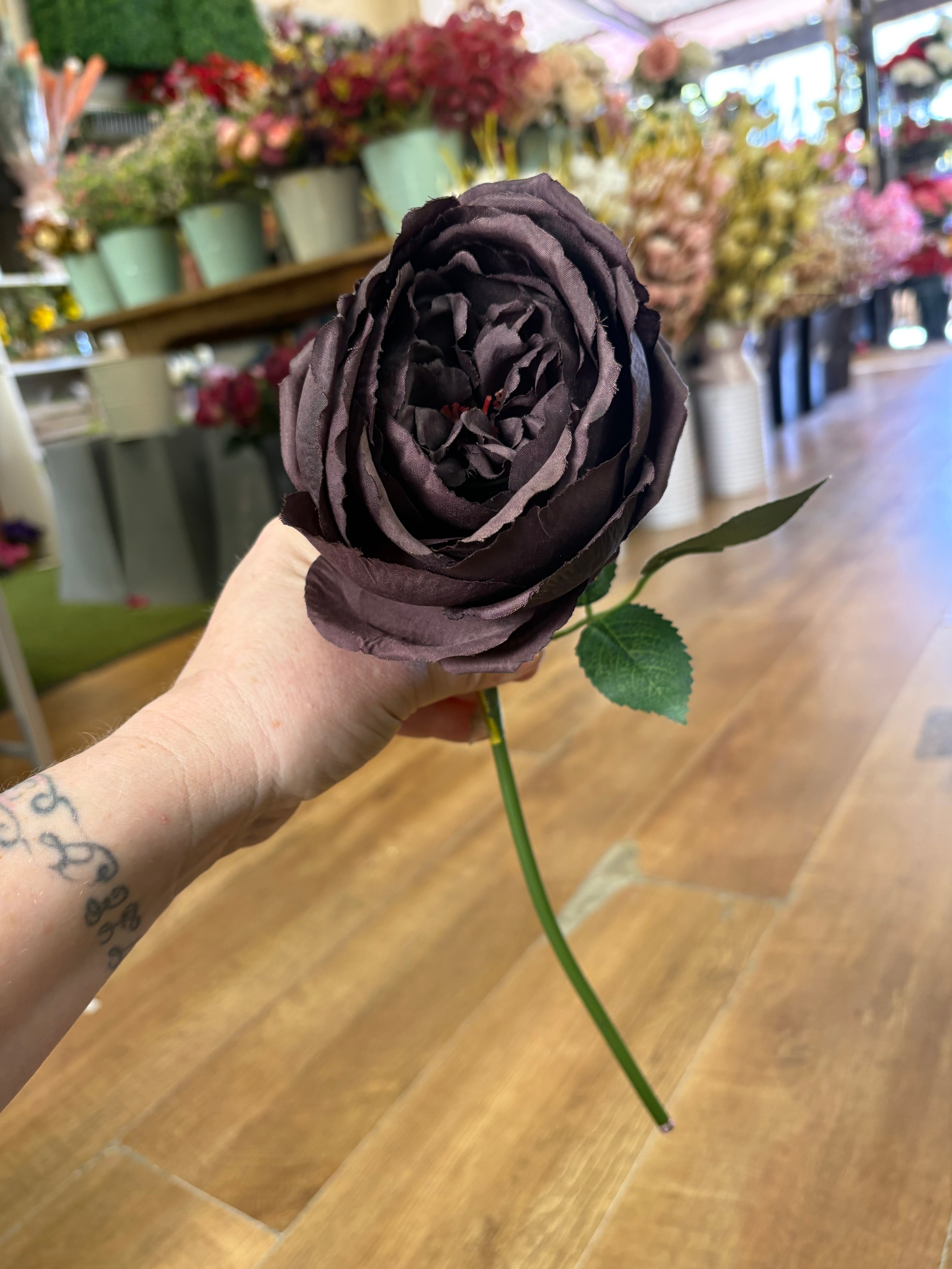 Short stem dark brown single peony
