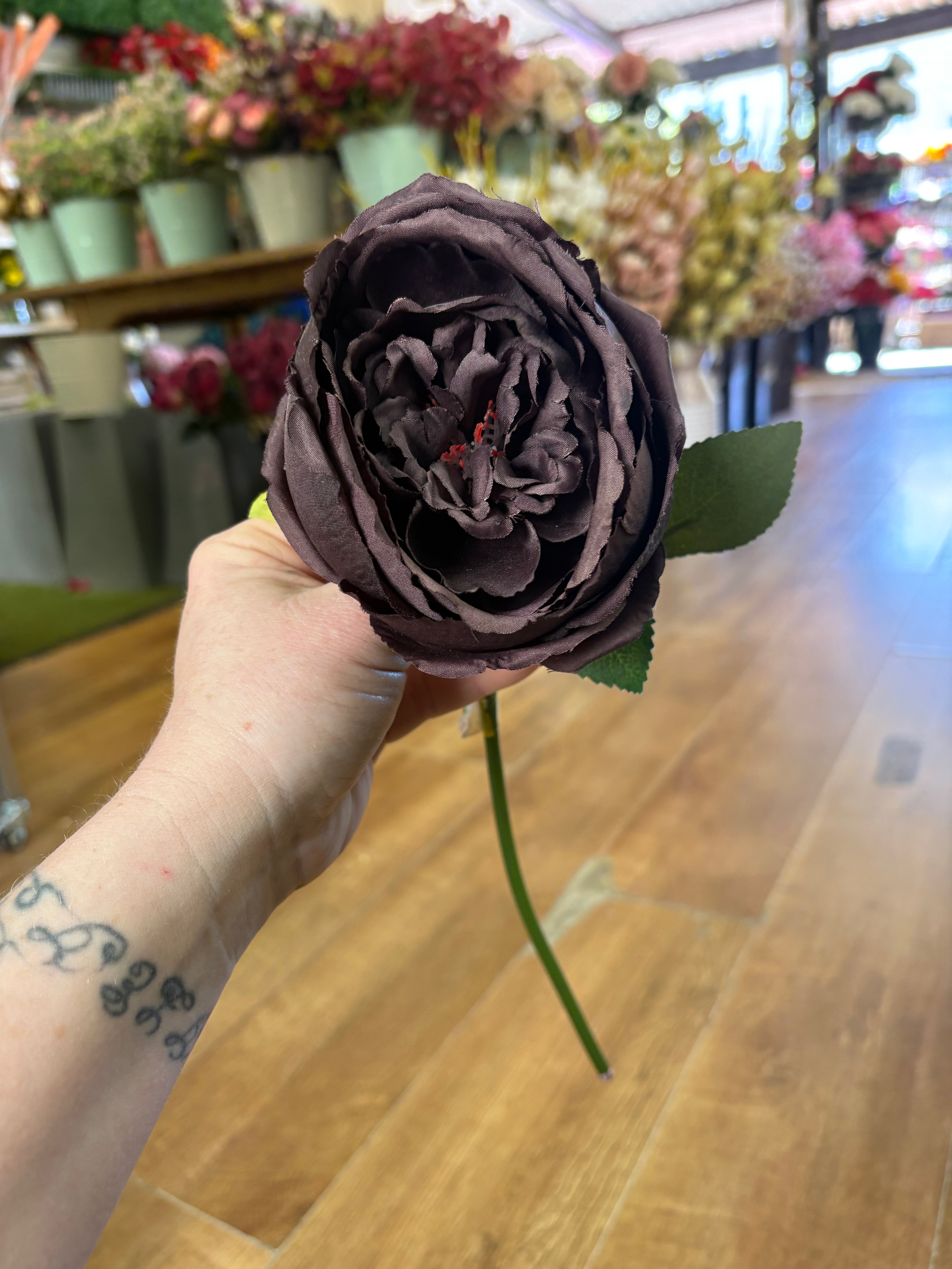 Short stem dark brown single peony