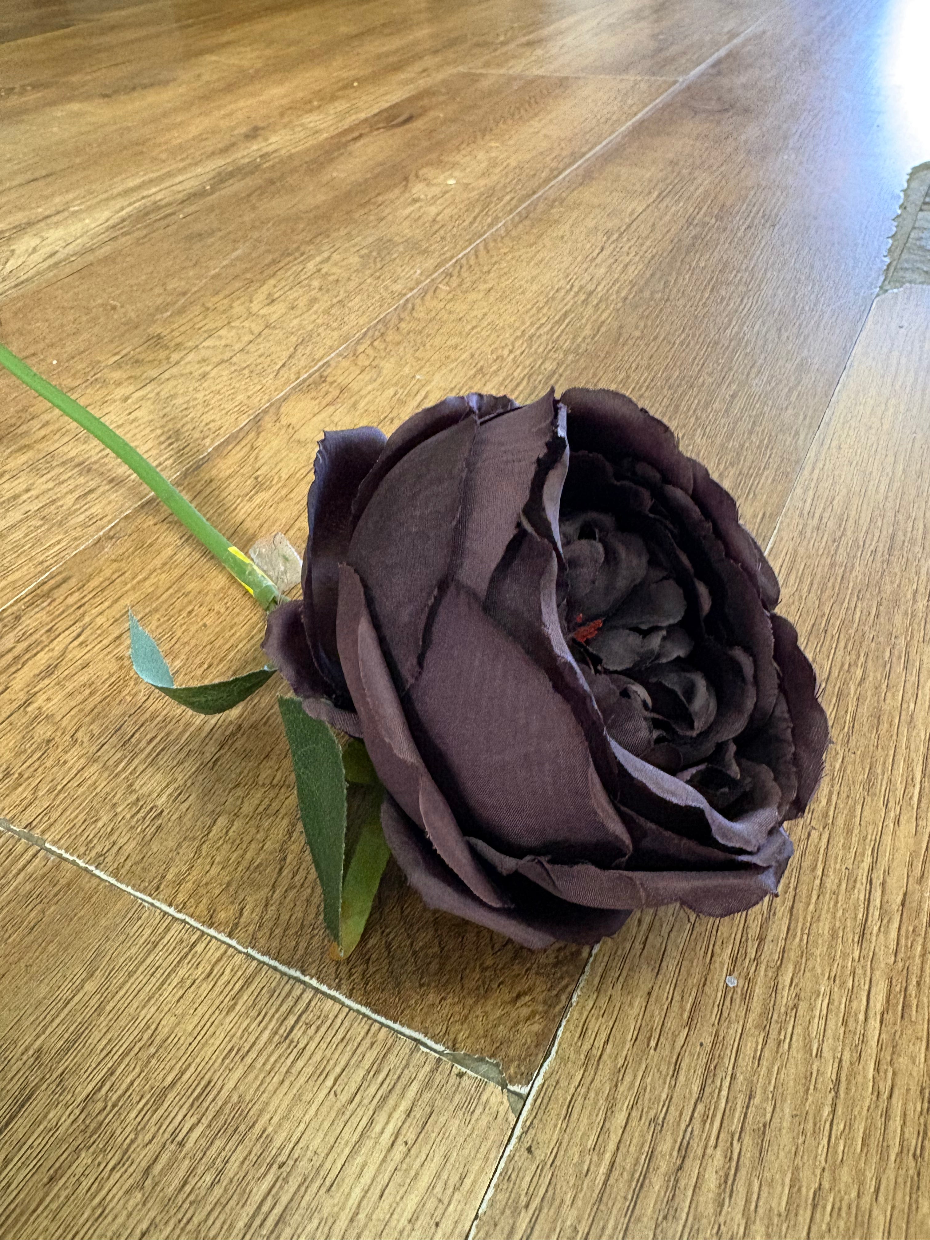 Short stem dark brown single peony