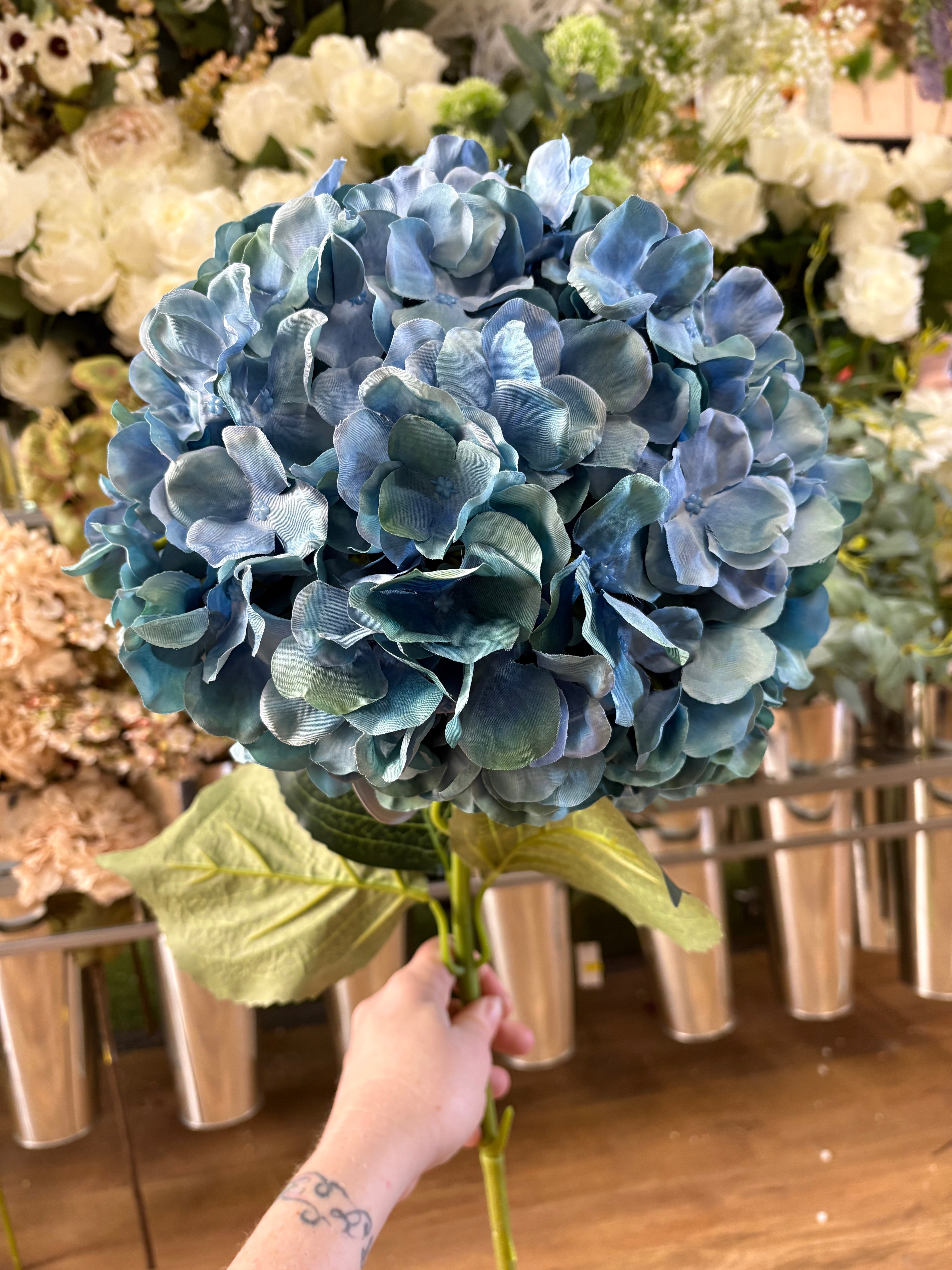 Giant head blue green premium hydrangea