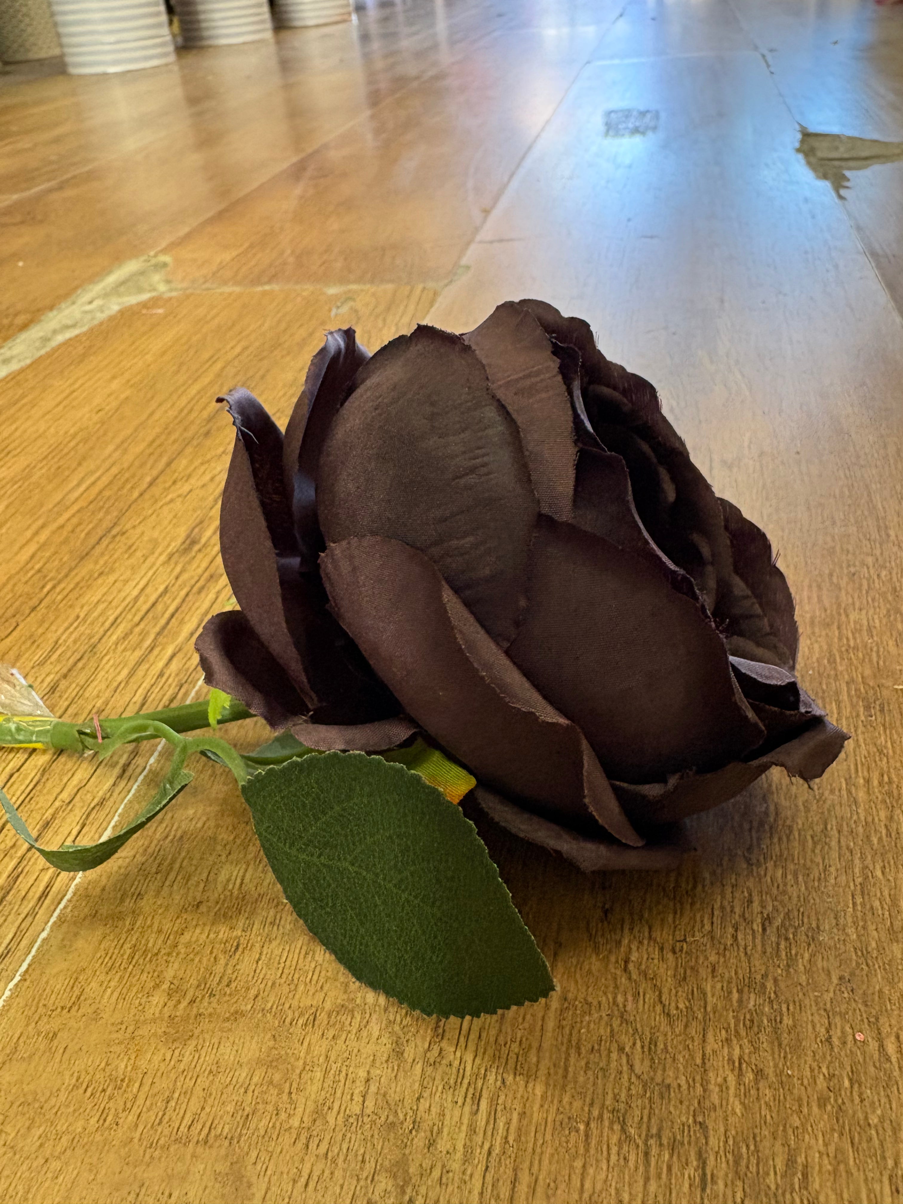 Short stem dark brown single peony