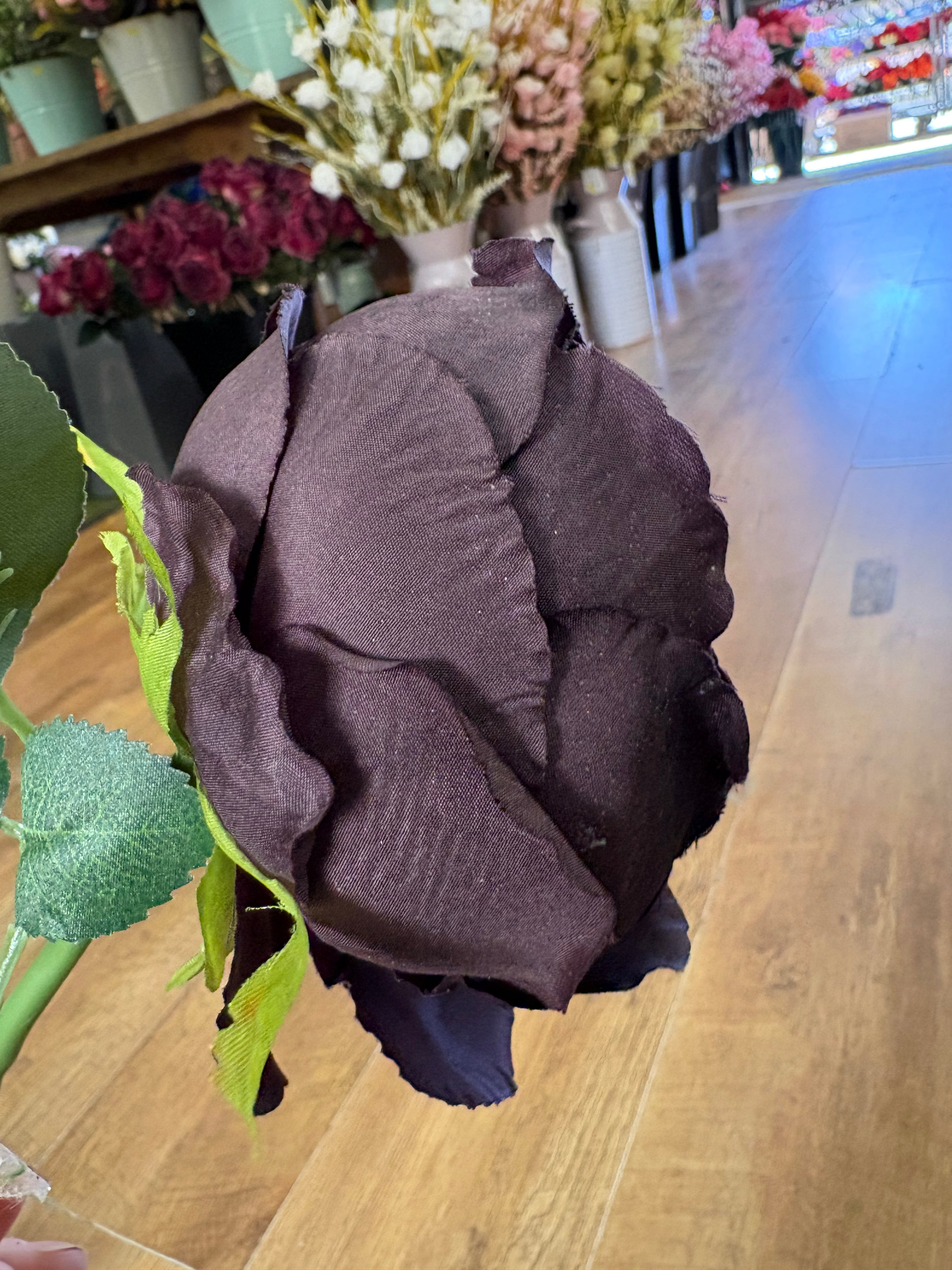 Short stem dark brown single peony