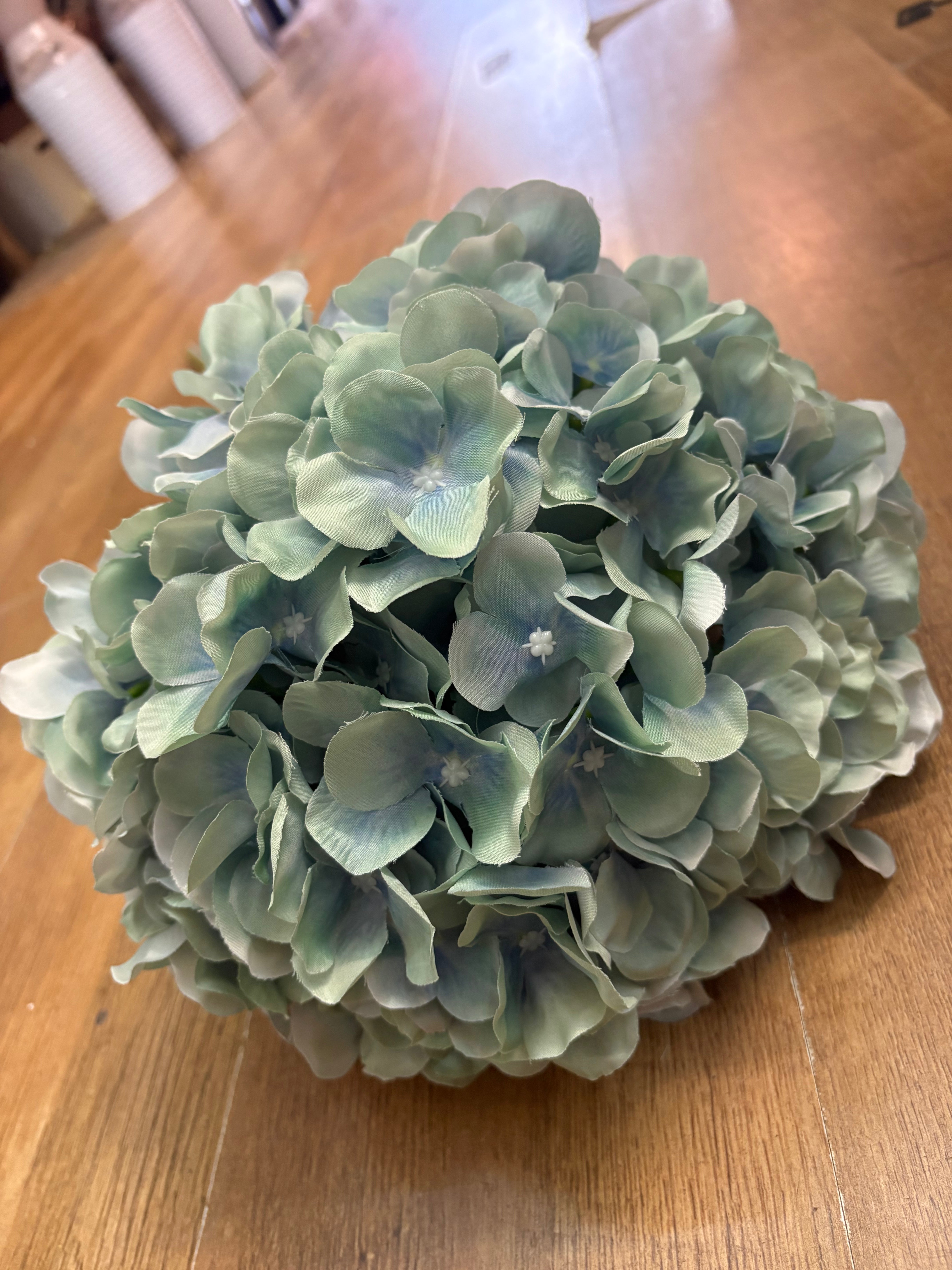 Giant head duck egg premium hydrangea