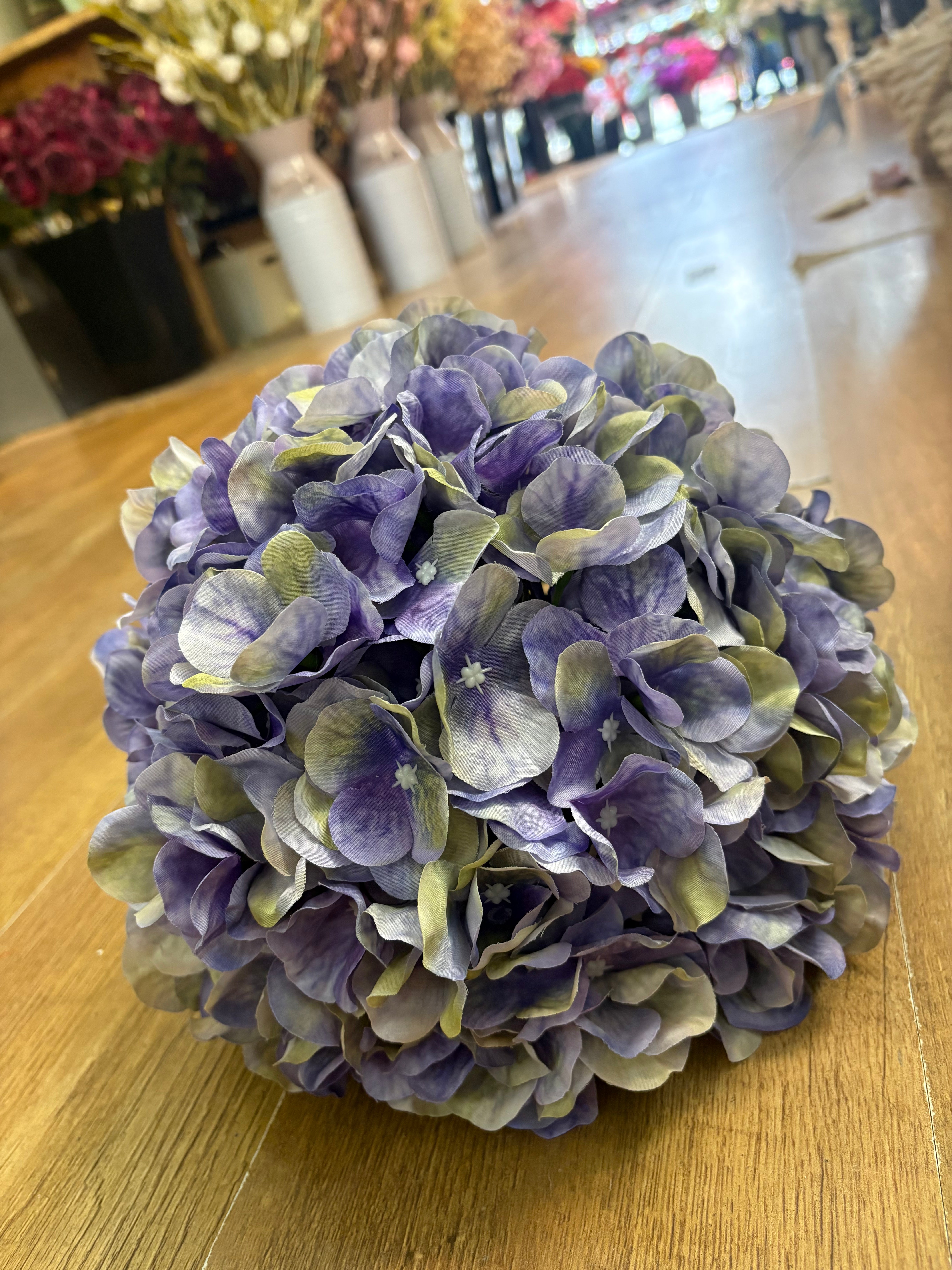 Giant head lavender and green tint premium hydrangea