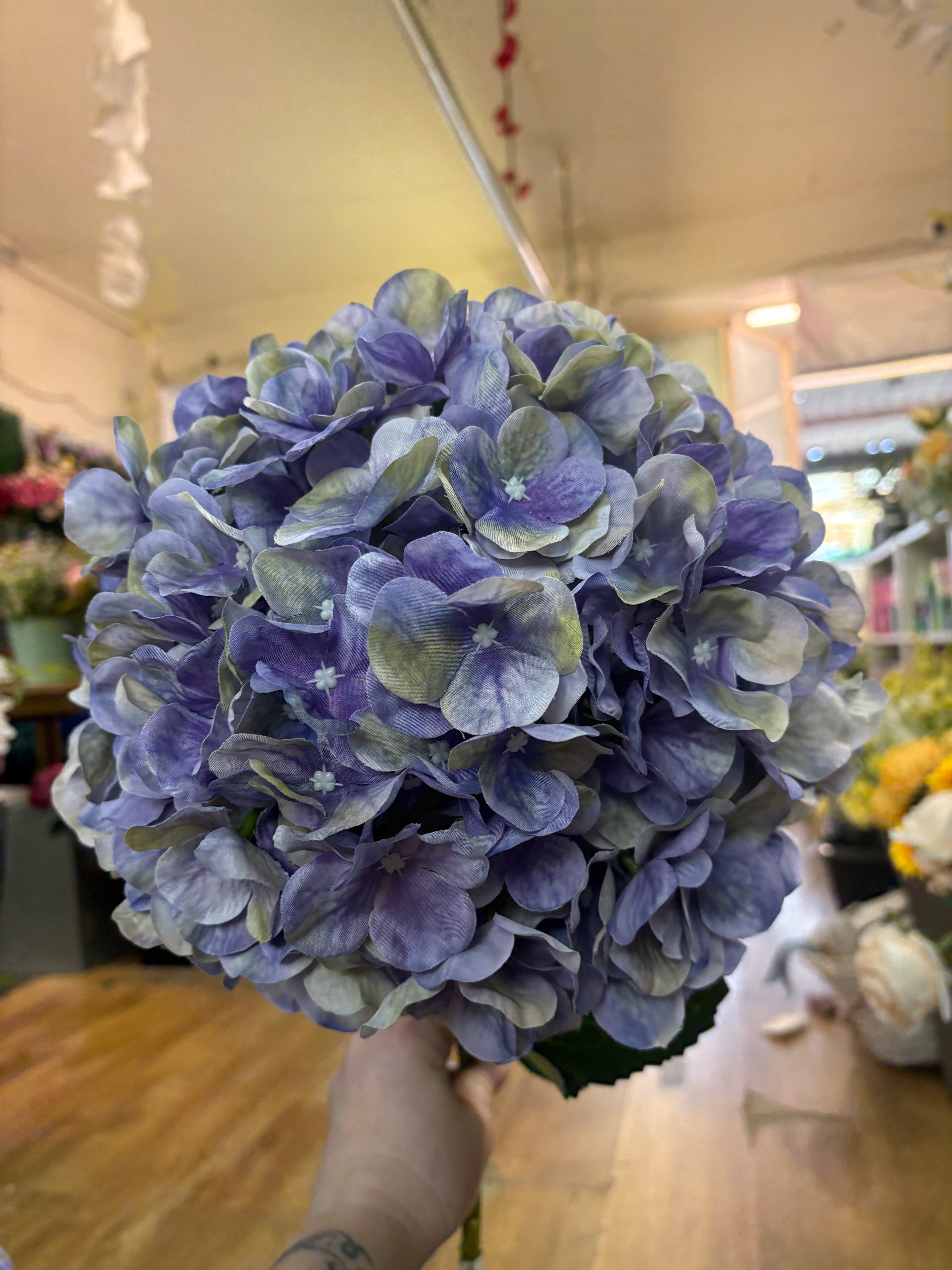 Giant head lavender and green tint premium hydrangea