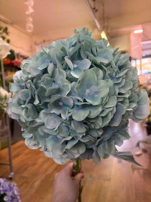 Giant head duck egg premium hydrangea