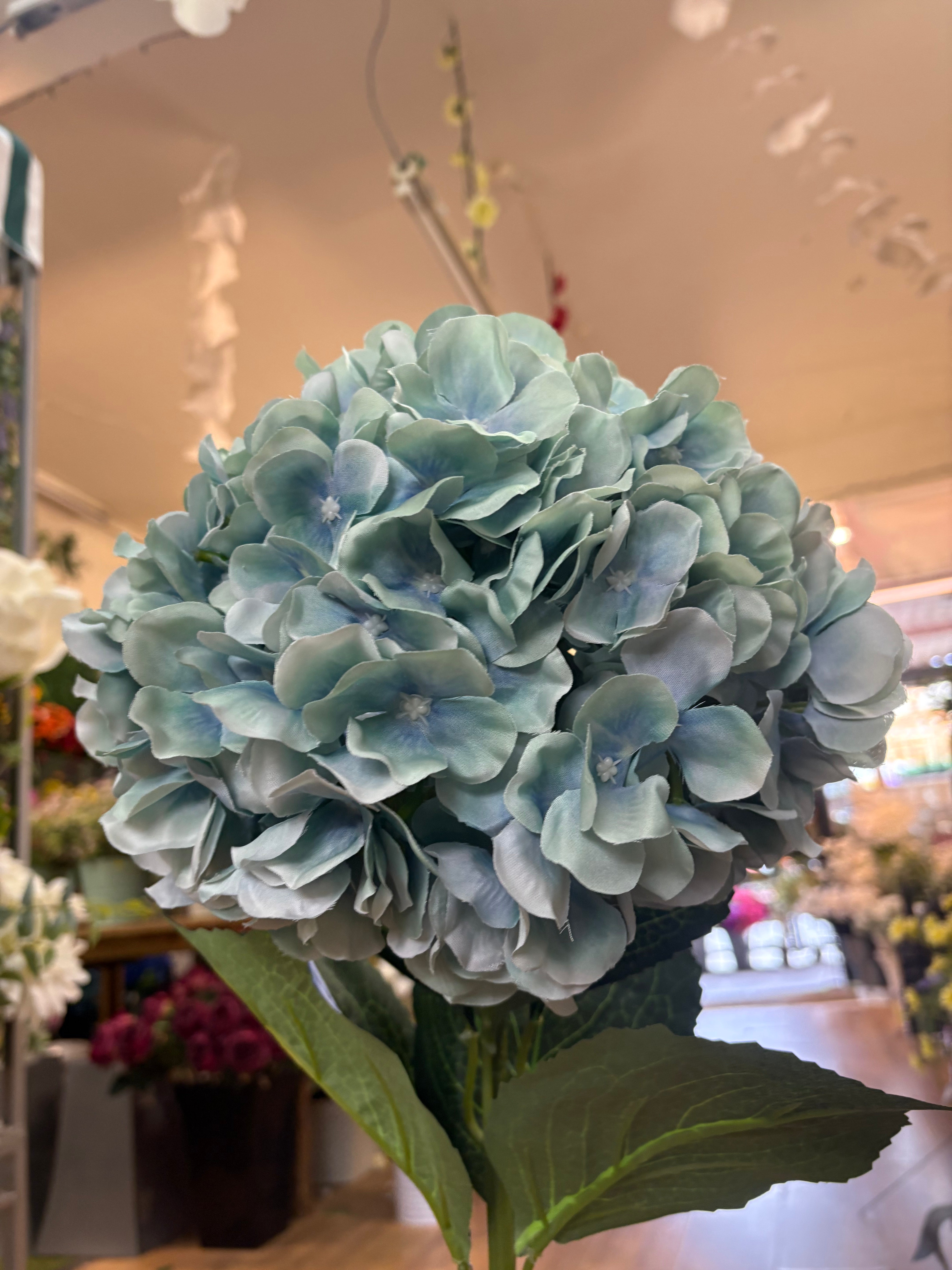 Giant head duck egg premium hydrangea