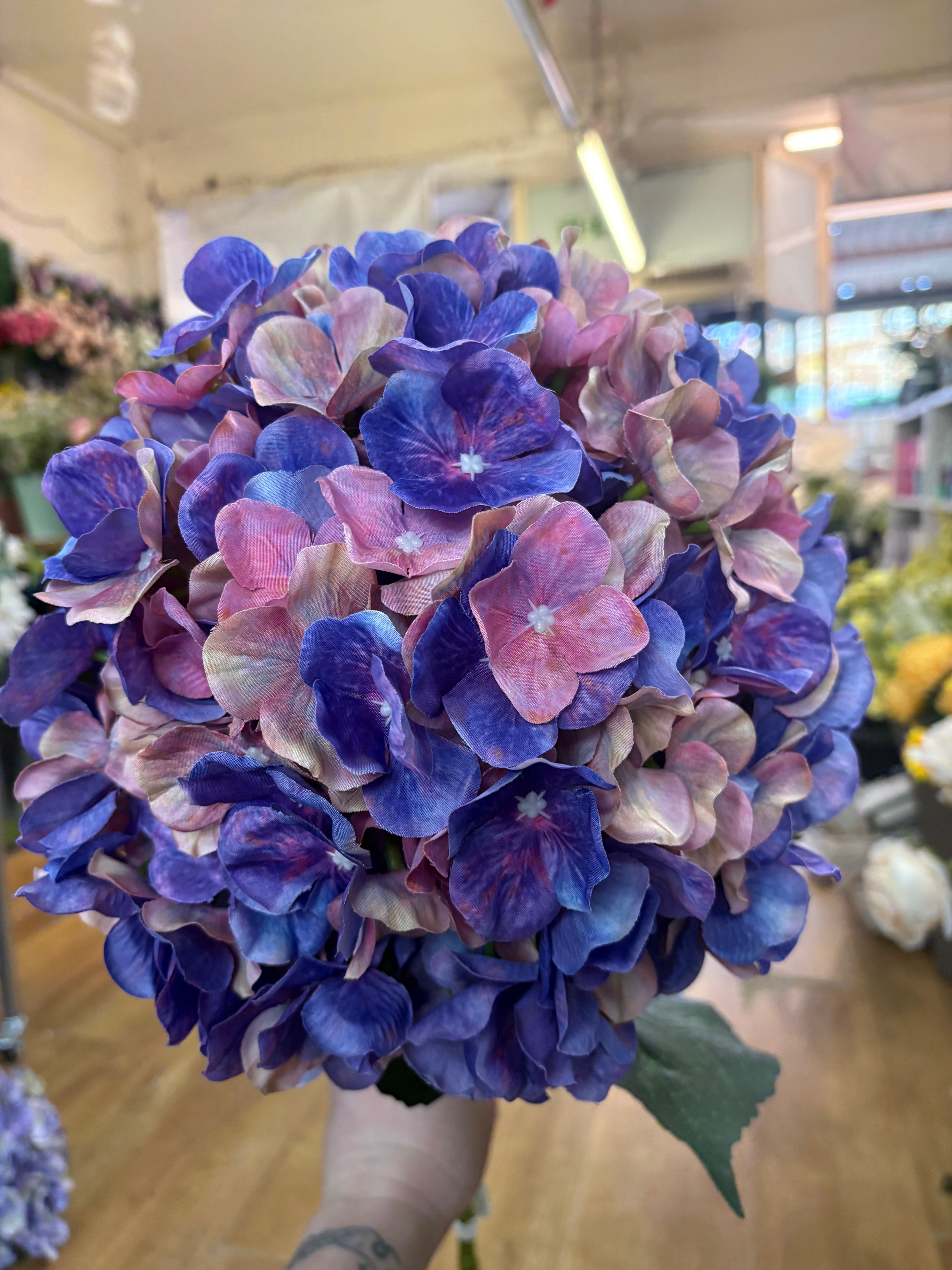 Giant head purple and pink mix premium hydrangea