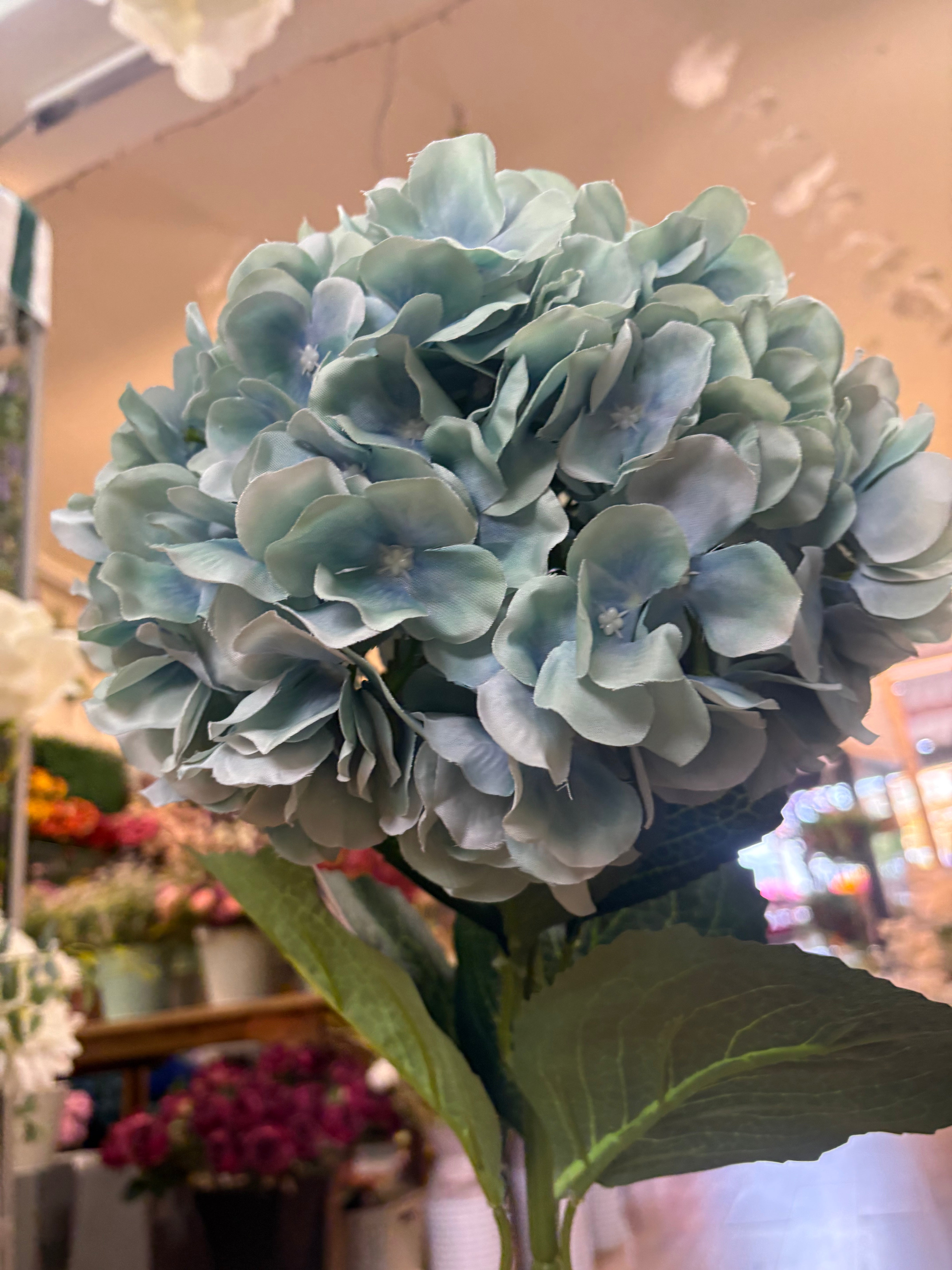 Giant head duck egg premium hydrangea