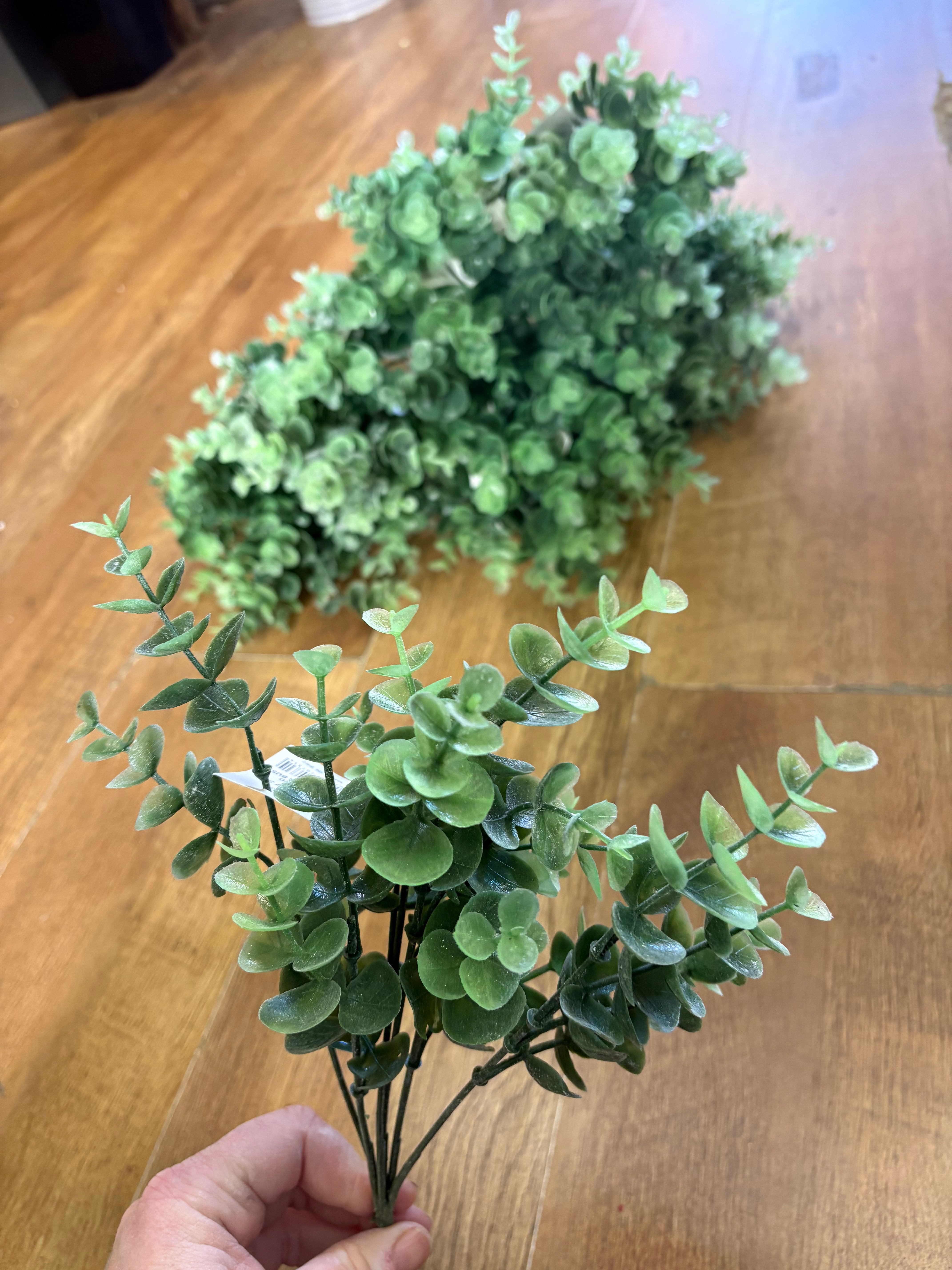 Bundle of 20 bunches of eucalyptus