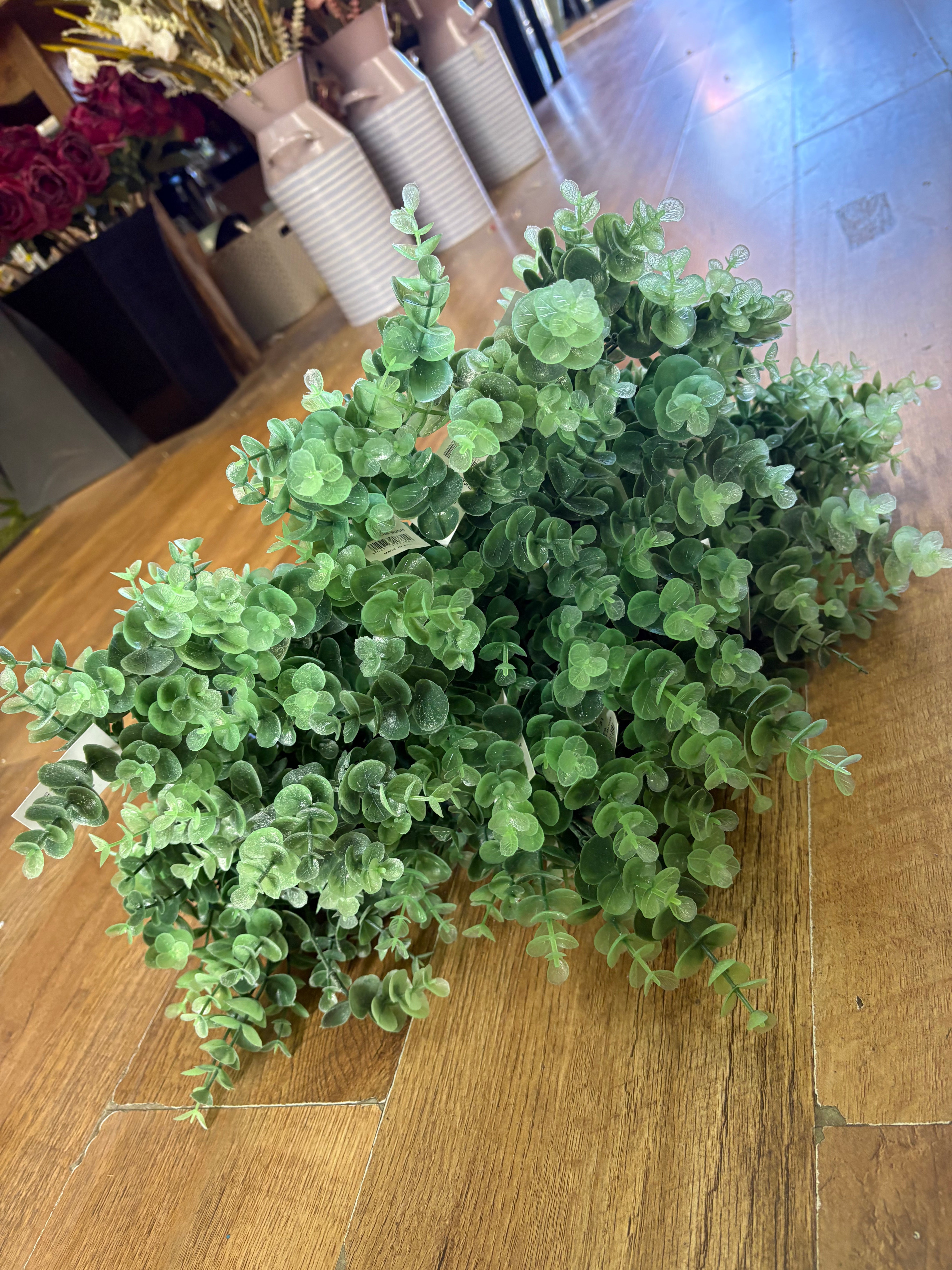 Bundle of 20 bunches of eucalyptus