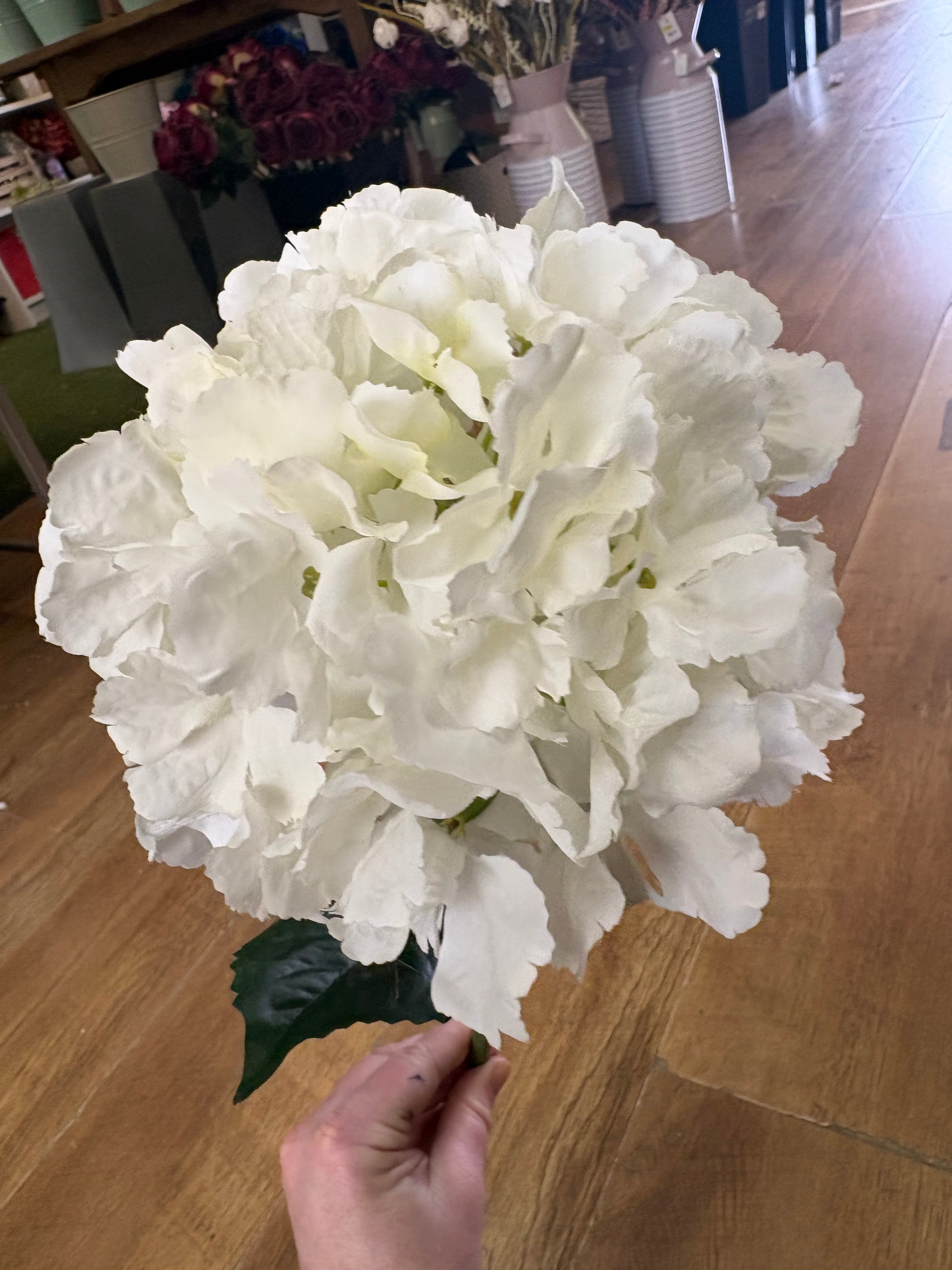 Ivory French hydrangea stem