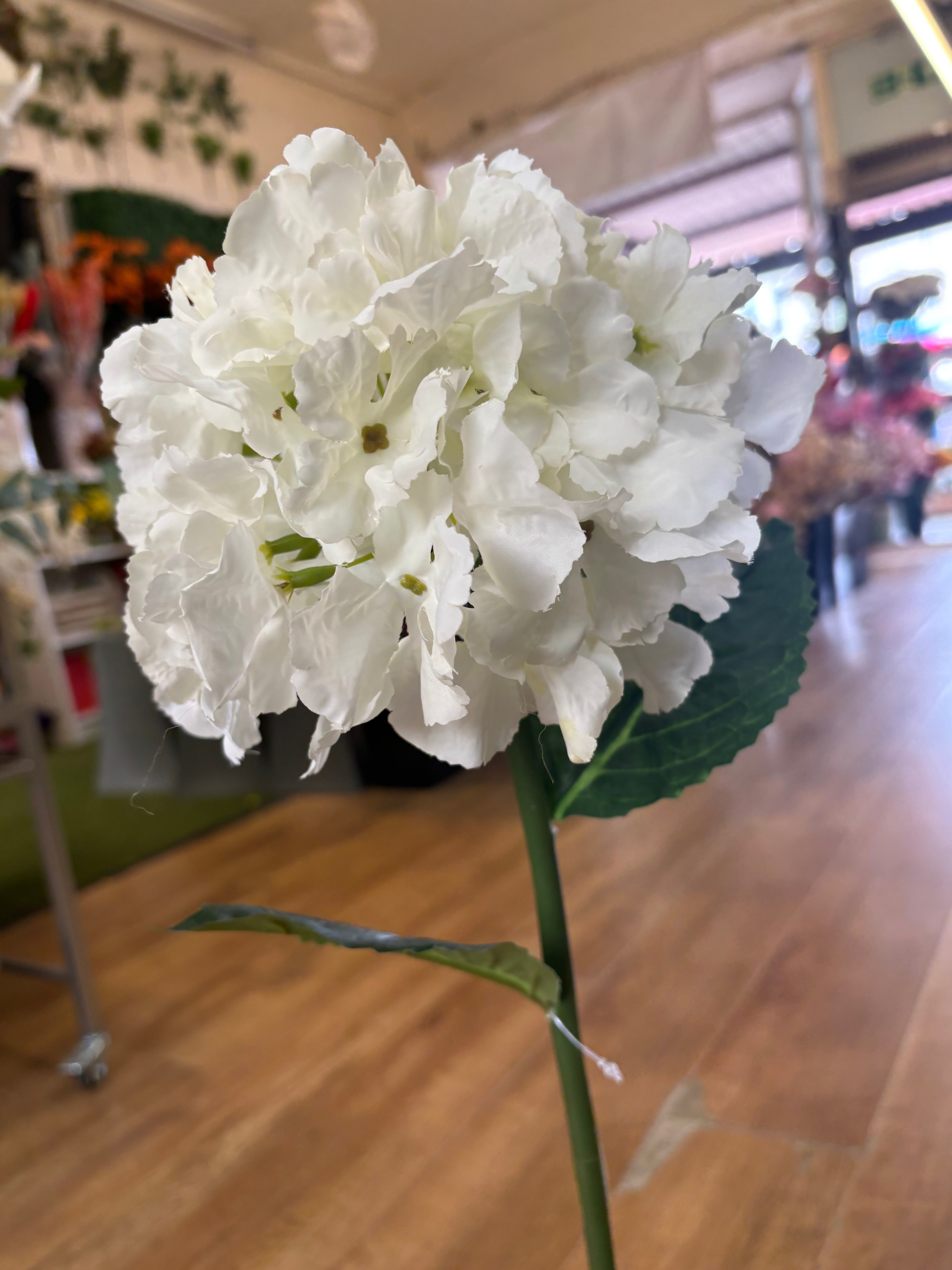 Ivory French hydrangea stem