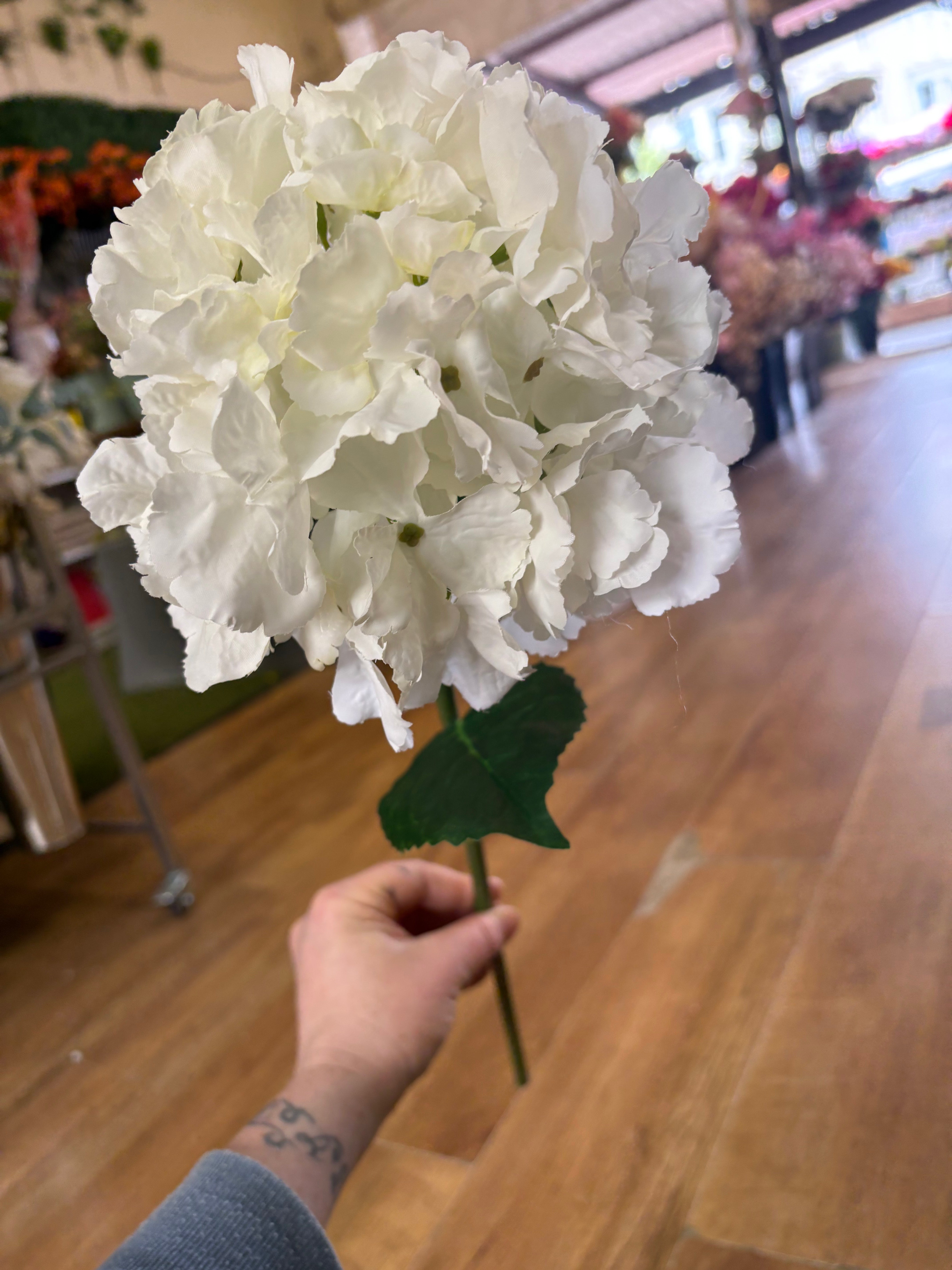 Ivory French hydrangea stem