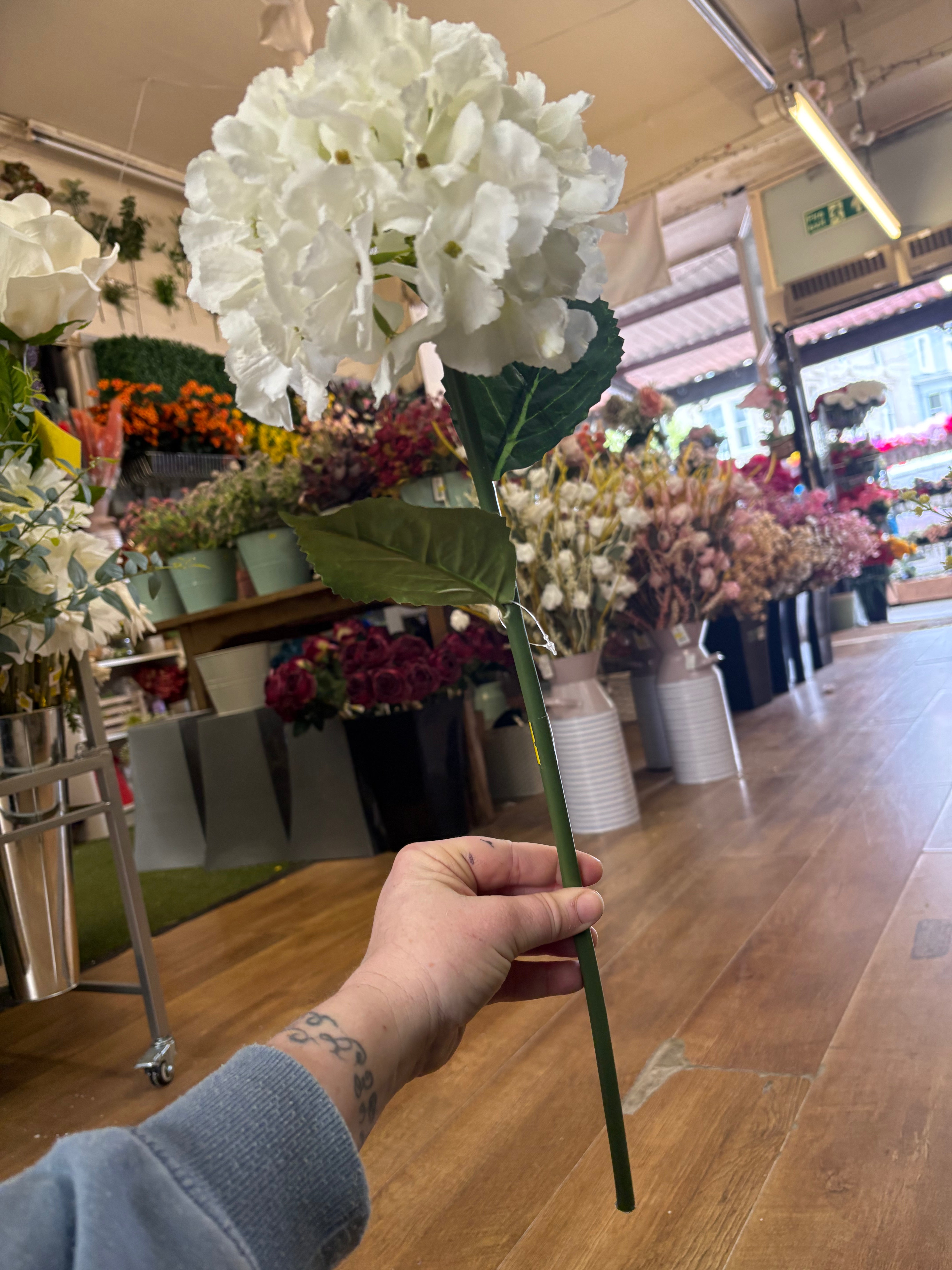 Ivory French hydrangea stem