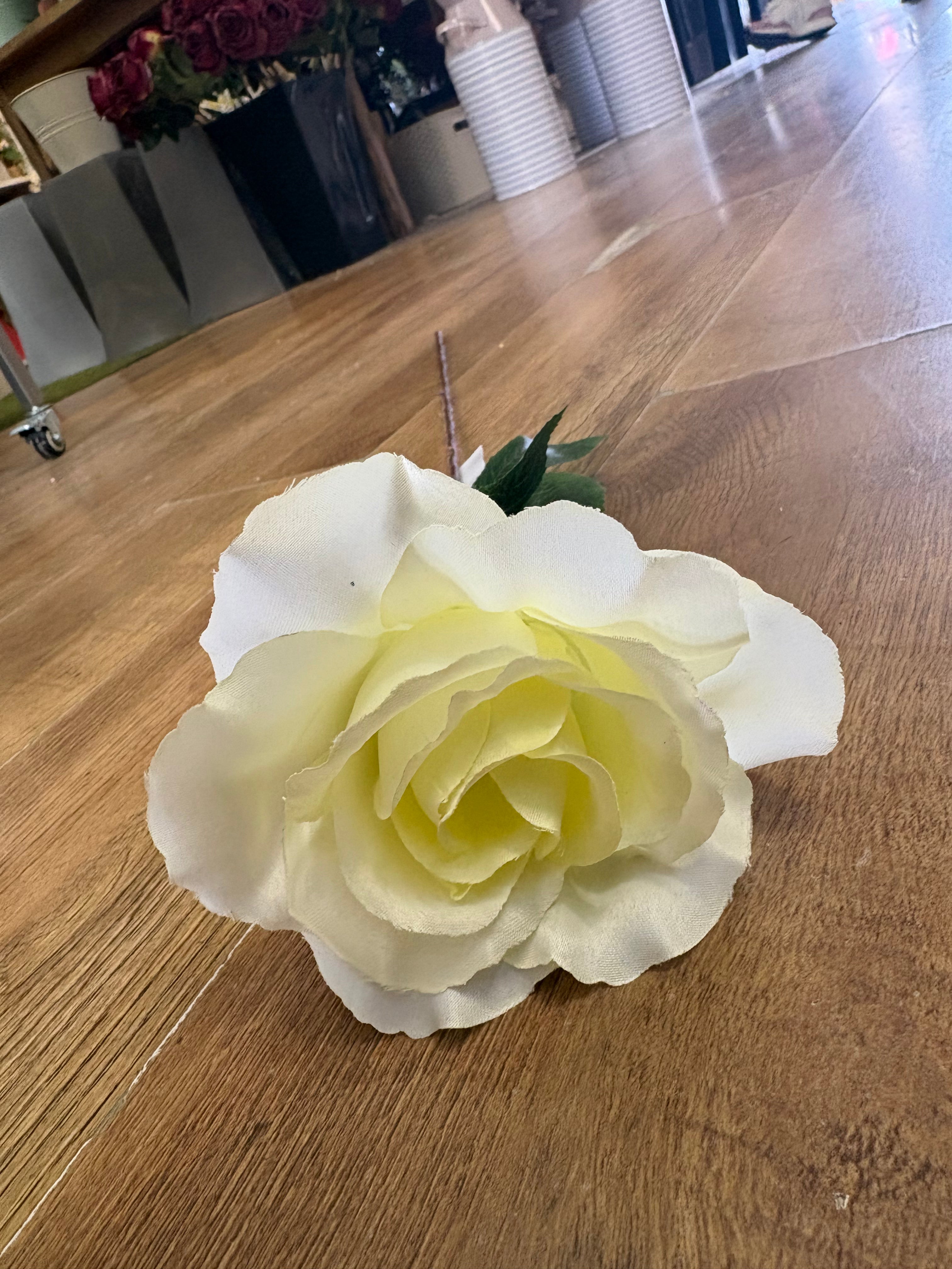 Long stem cream open rose
