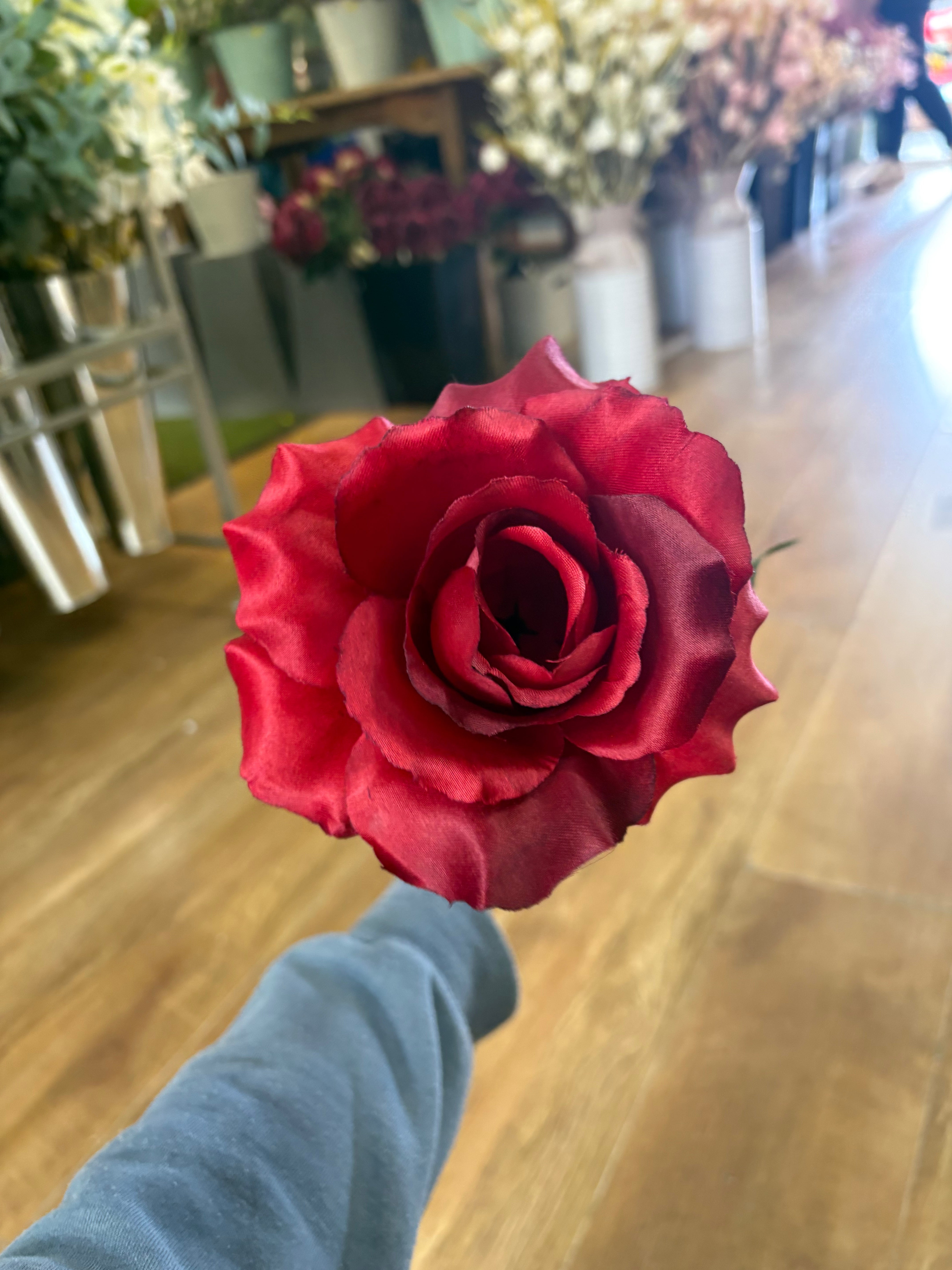 Long stem red open rose