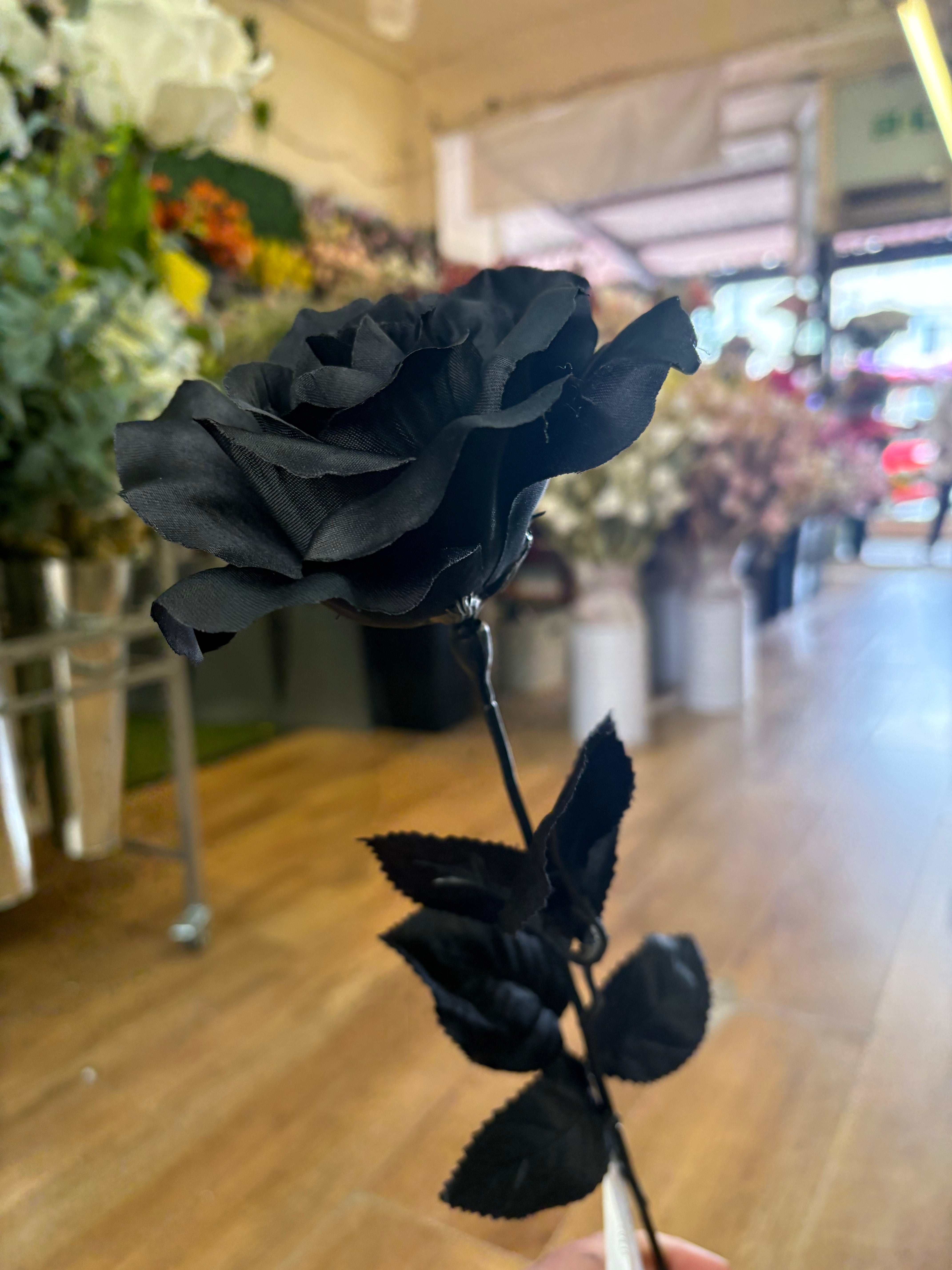 Long stem black open rose