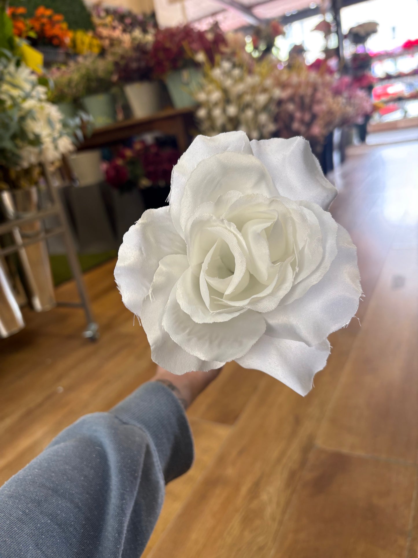 Long stem white open rose