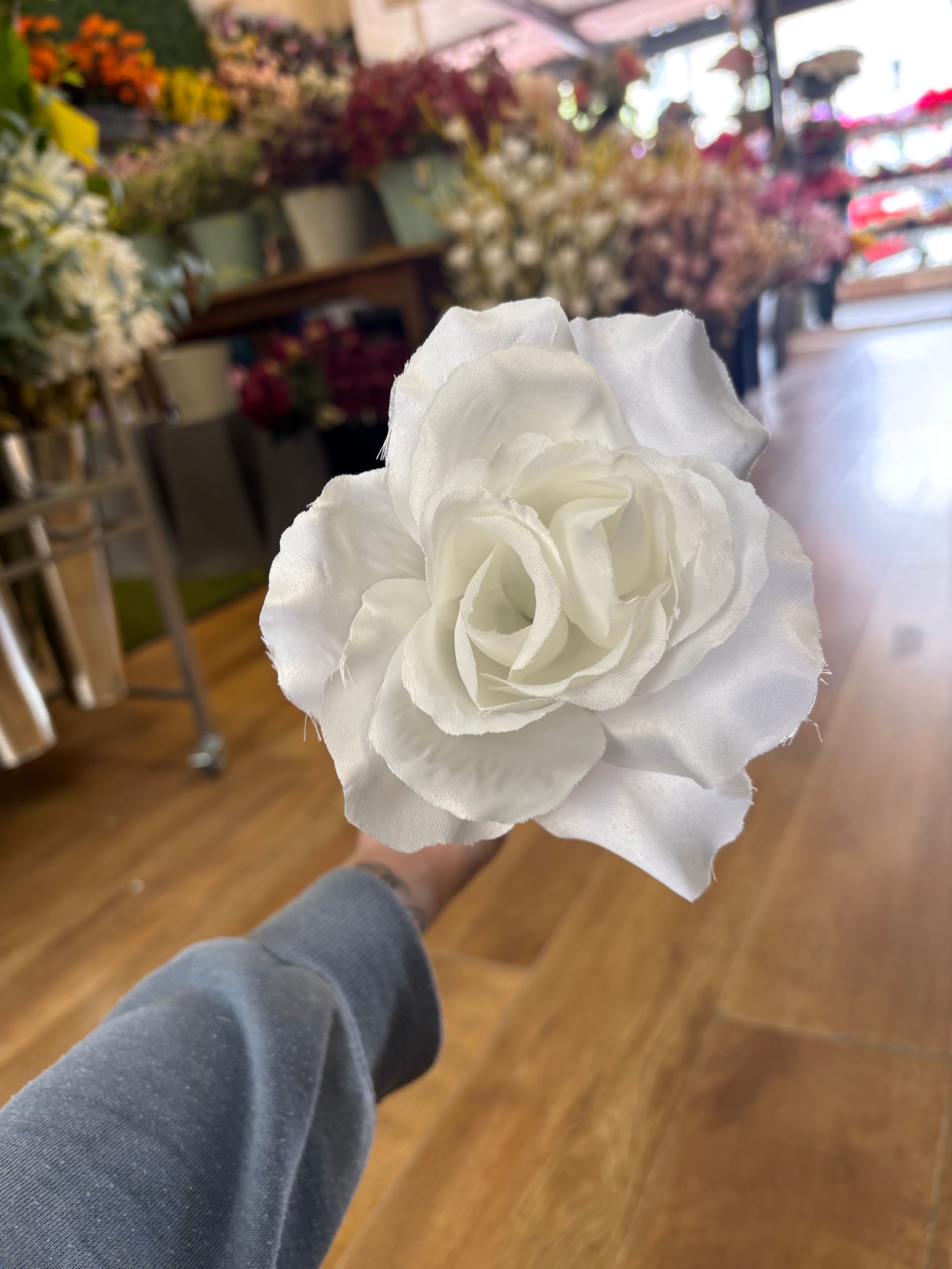 Long stem white open rose