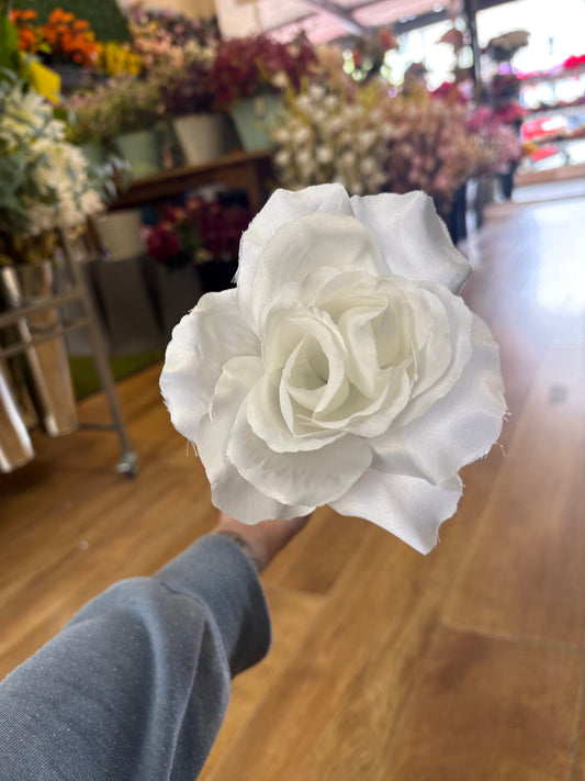 Long stem white open rose