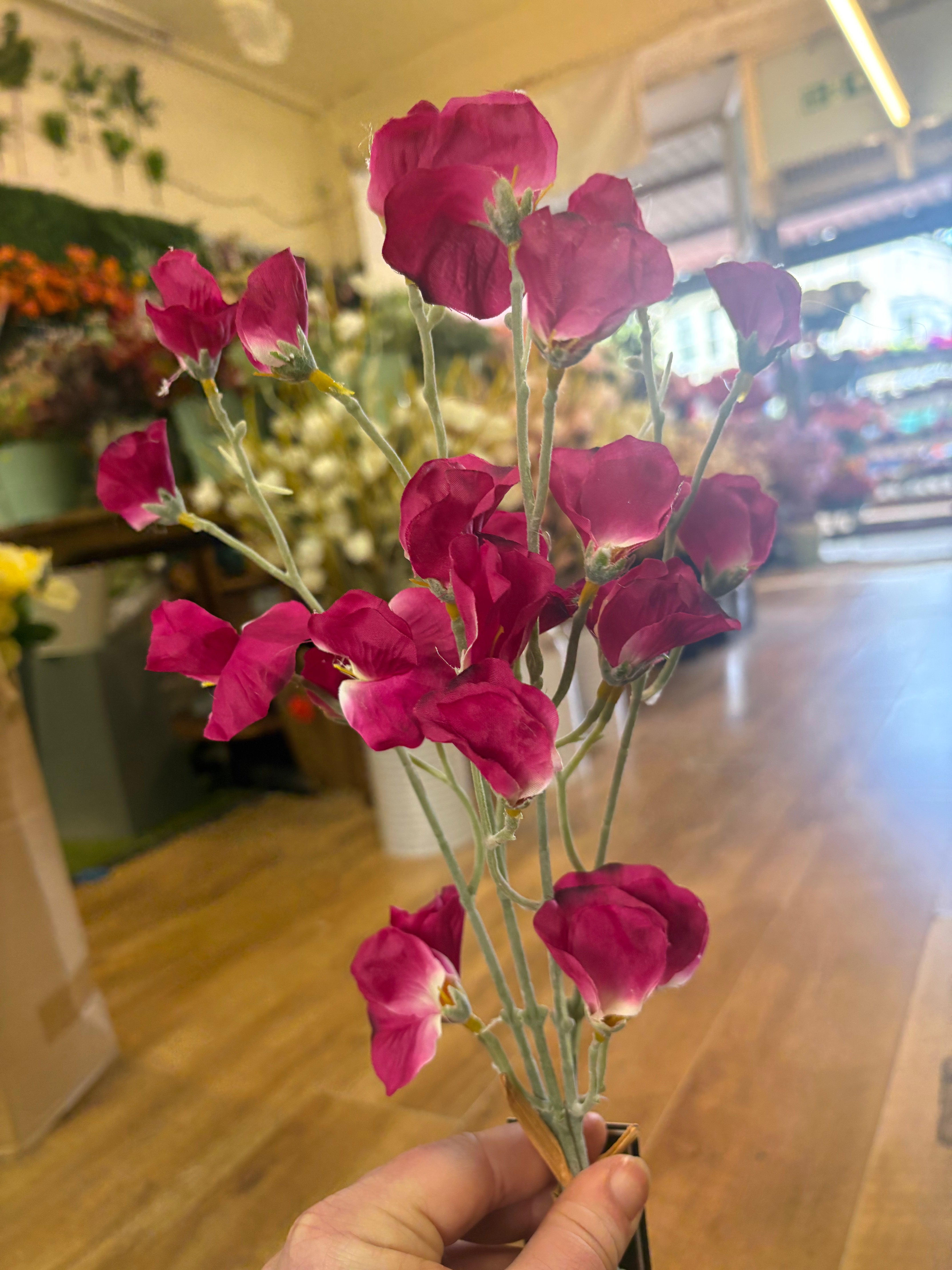 Fuchsia sweet pea bundle