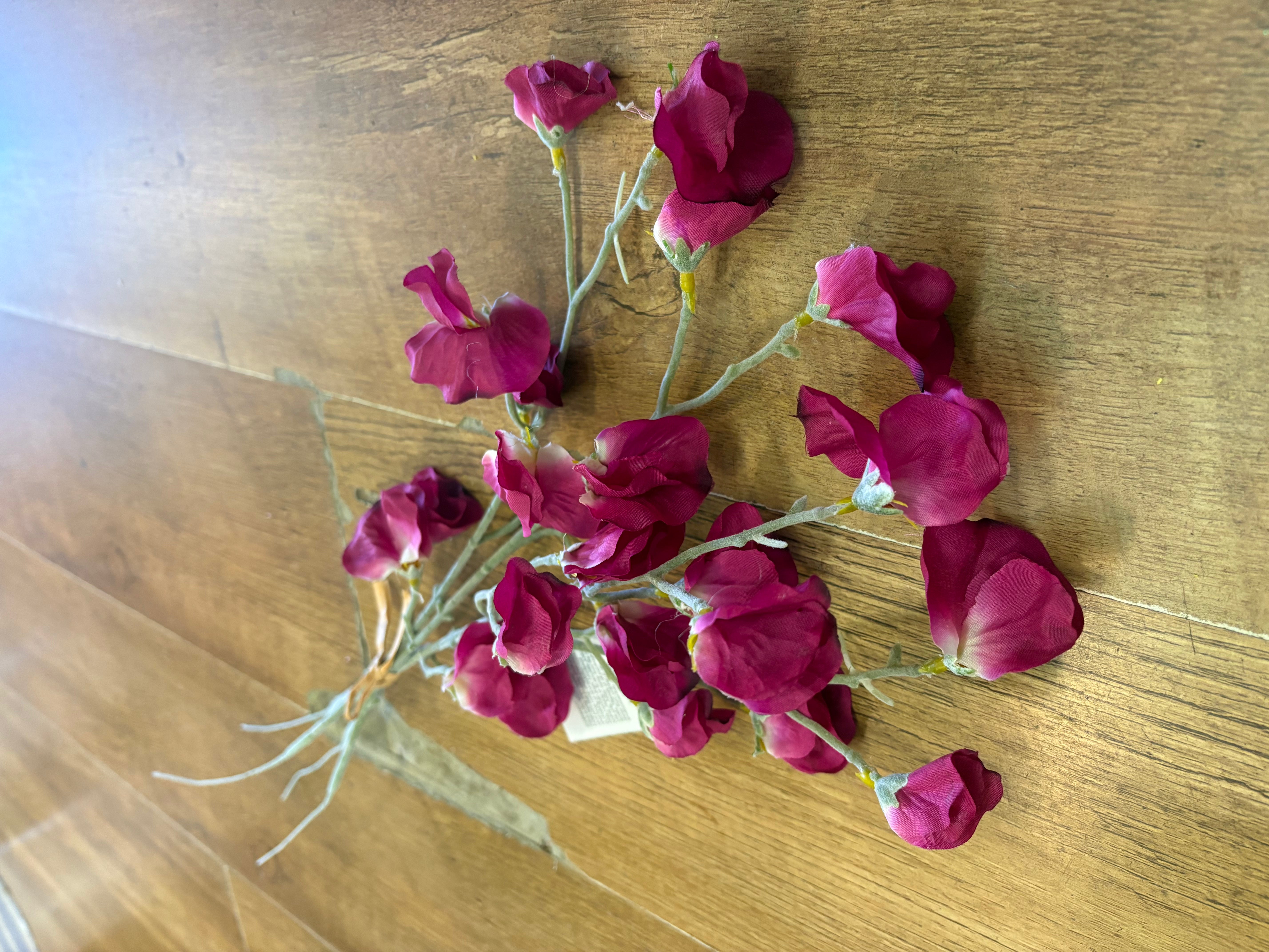 Fuchsia sweet pea bundle