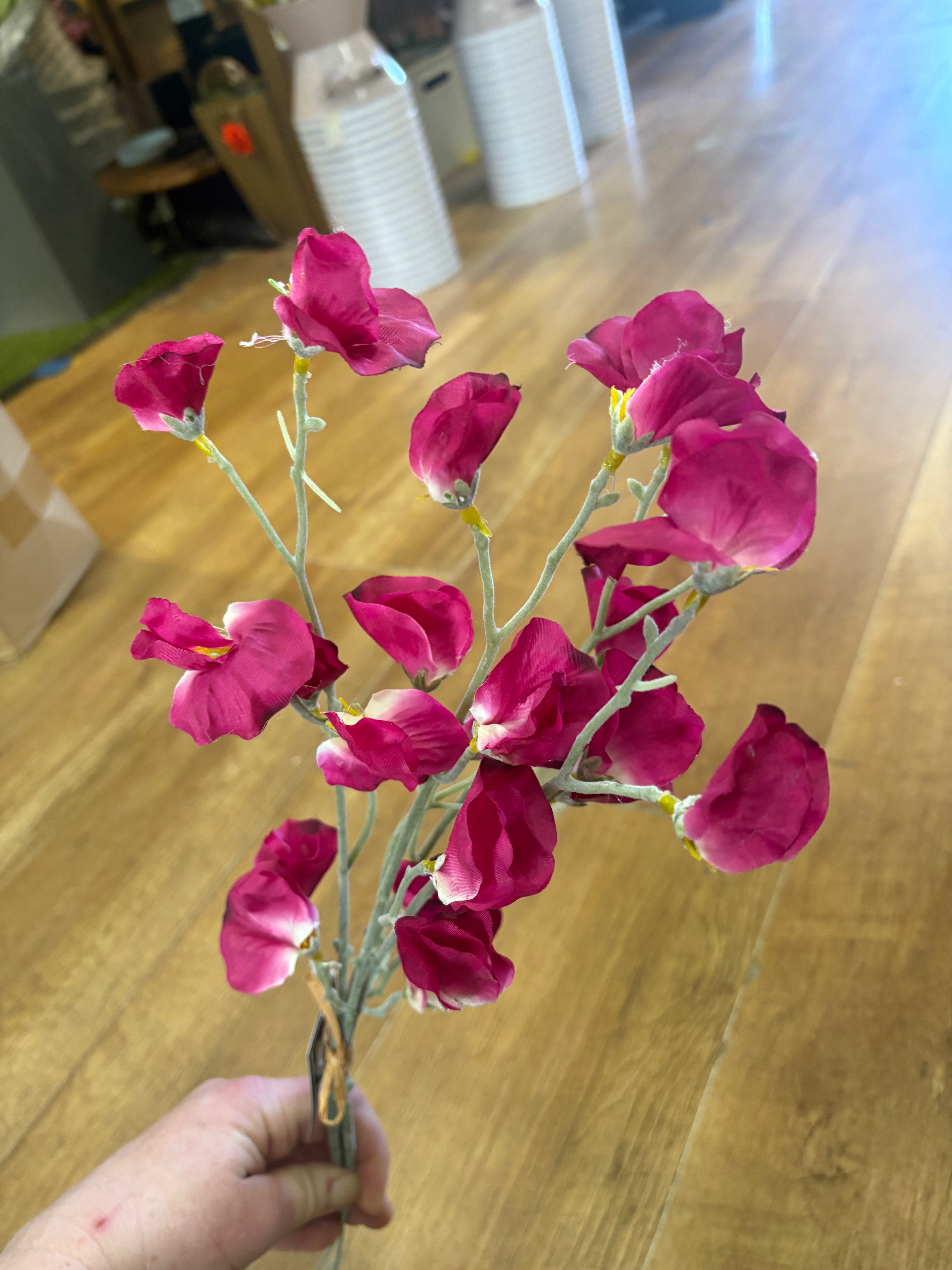 Fuchsia sweet pea bundle