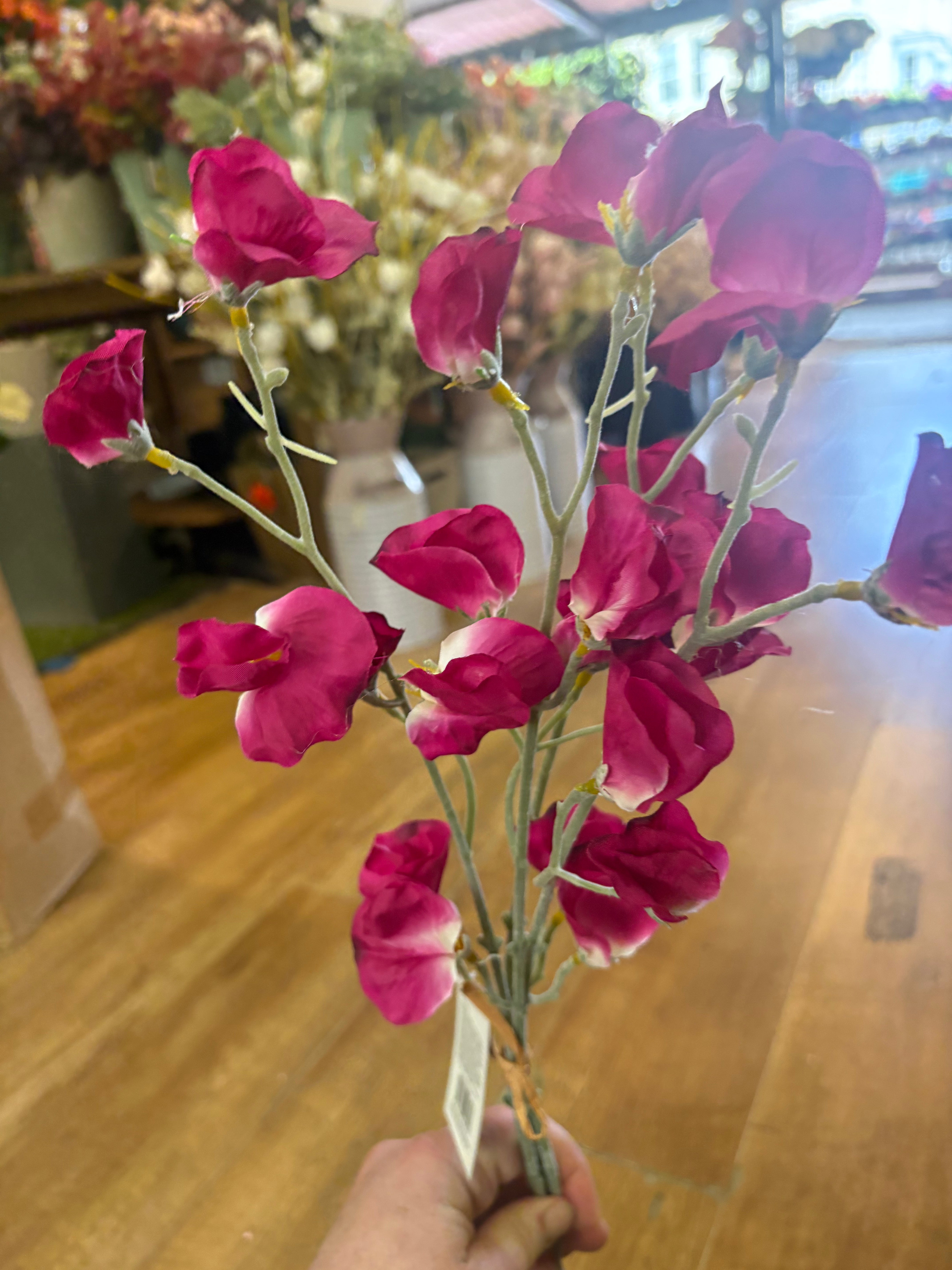 Fuchsia sweet pea bundle