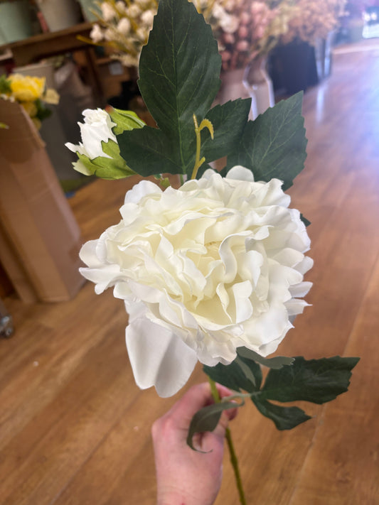 66cm ivory peony and bud