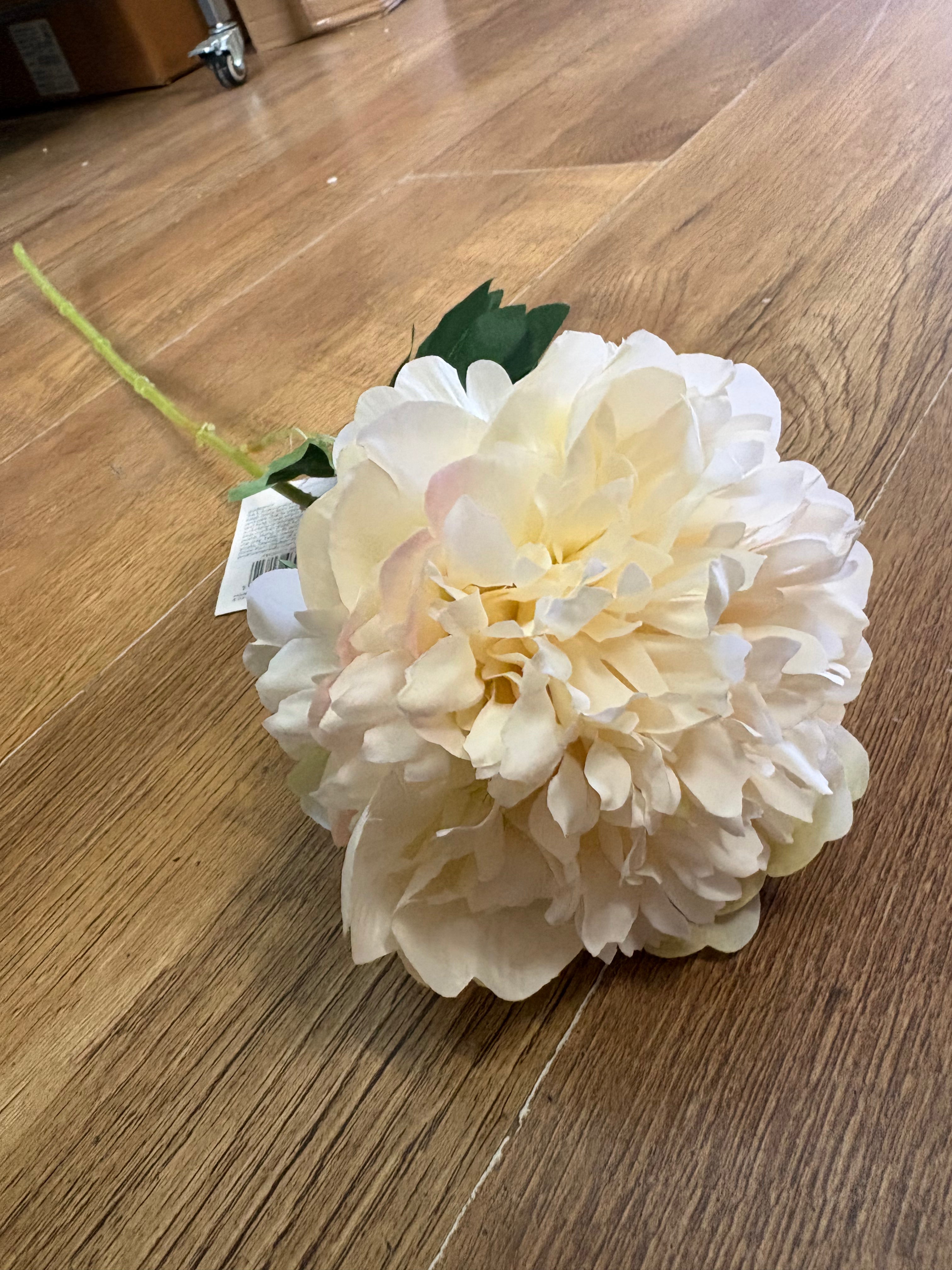 Long stem cream peony