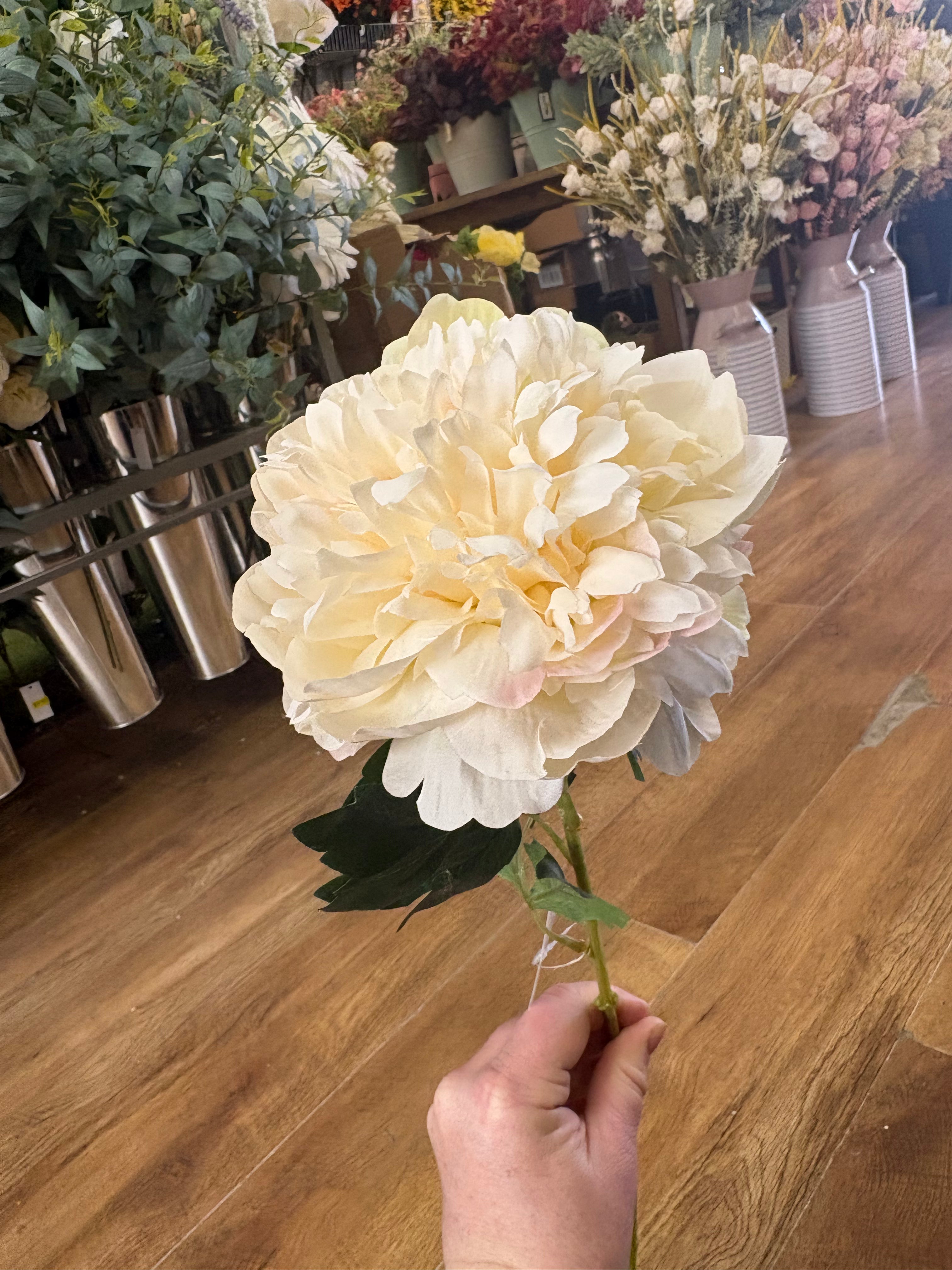 Long stem cream peony