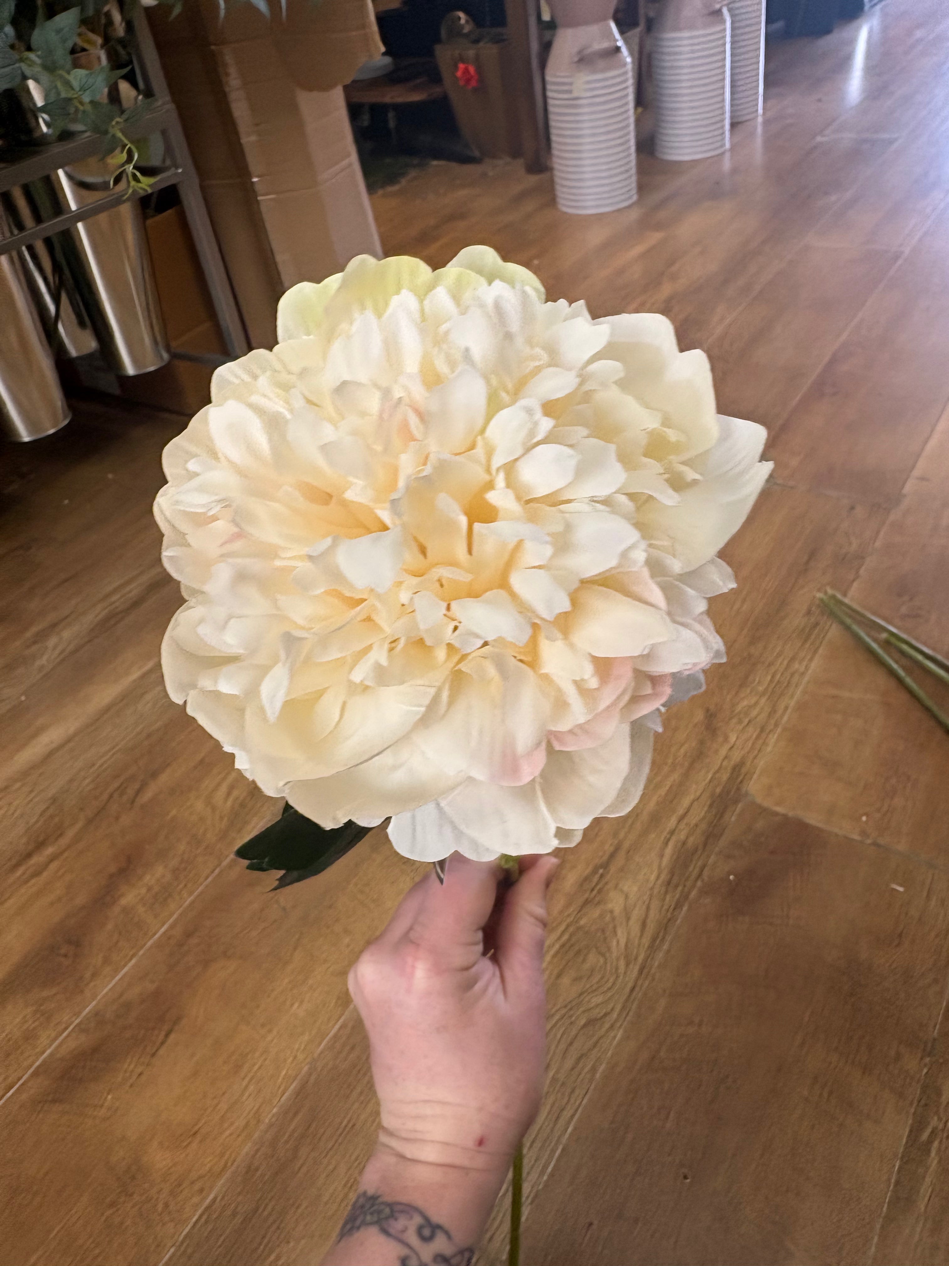 Long stem cream peony