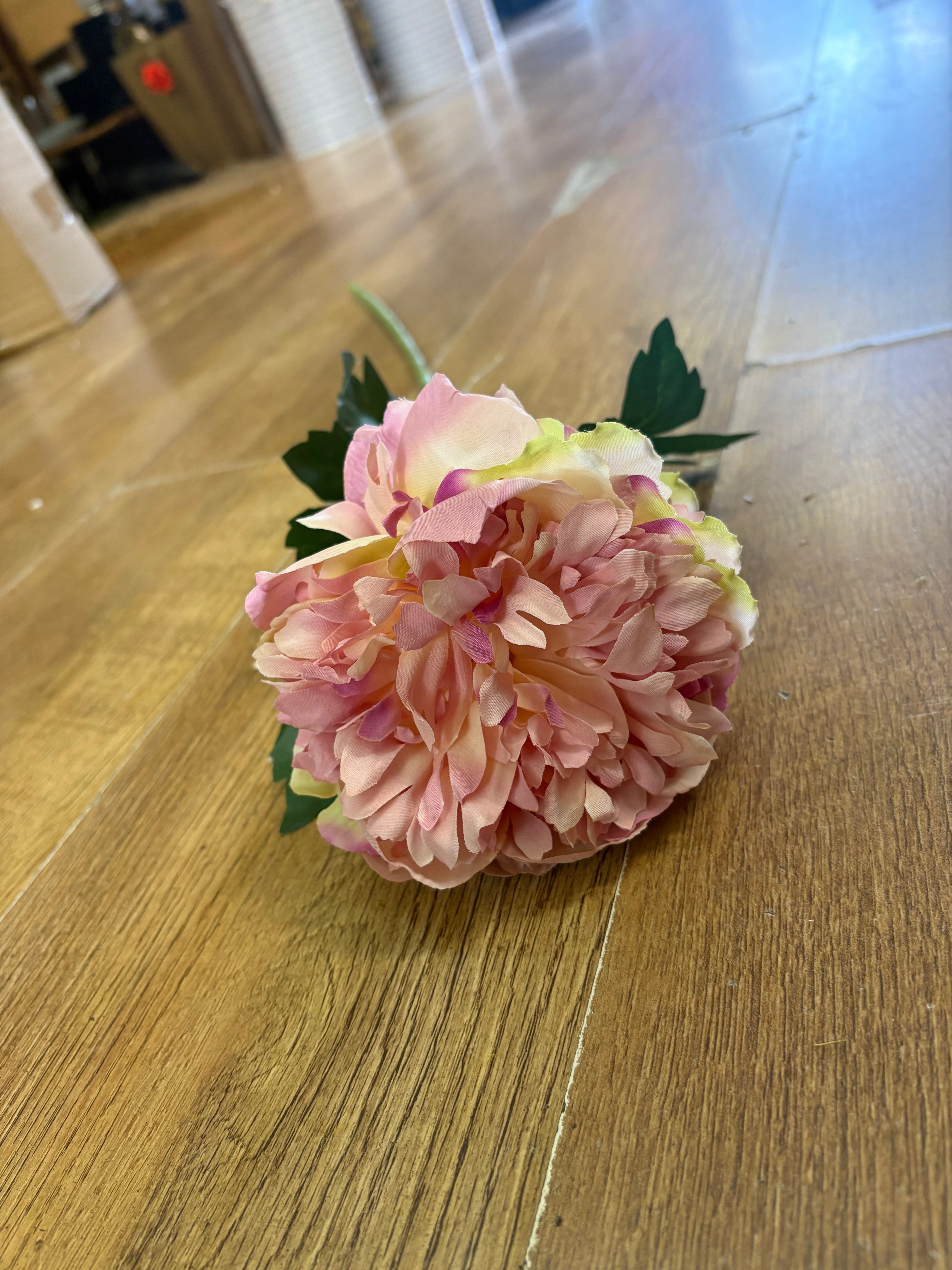 Long stem pink peony