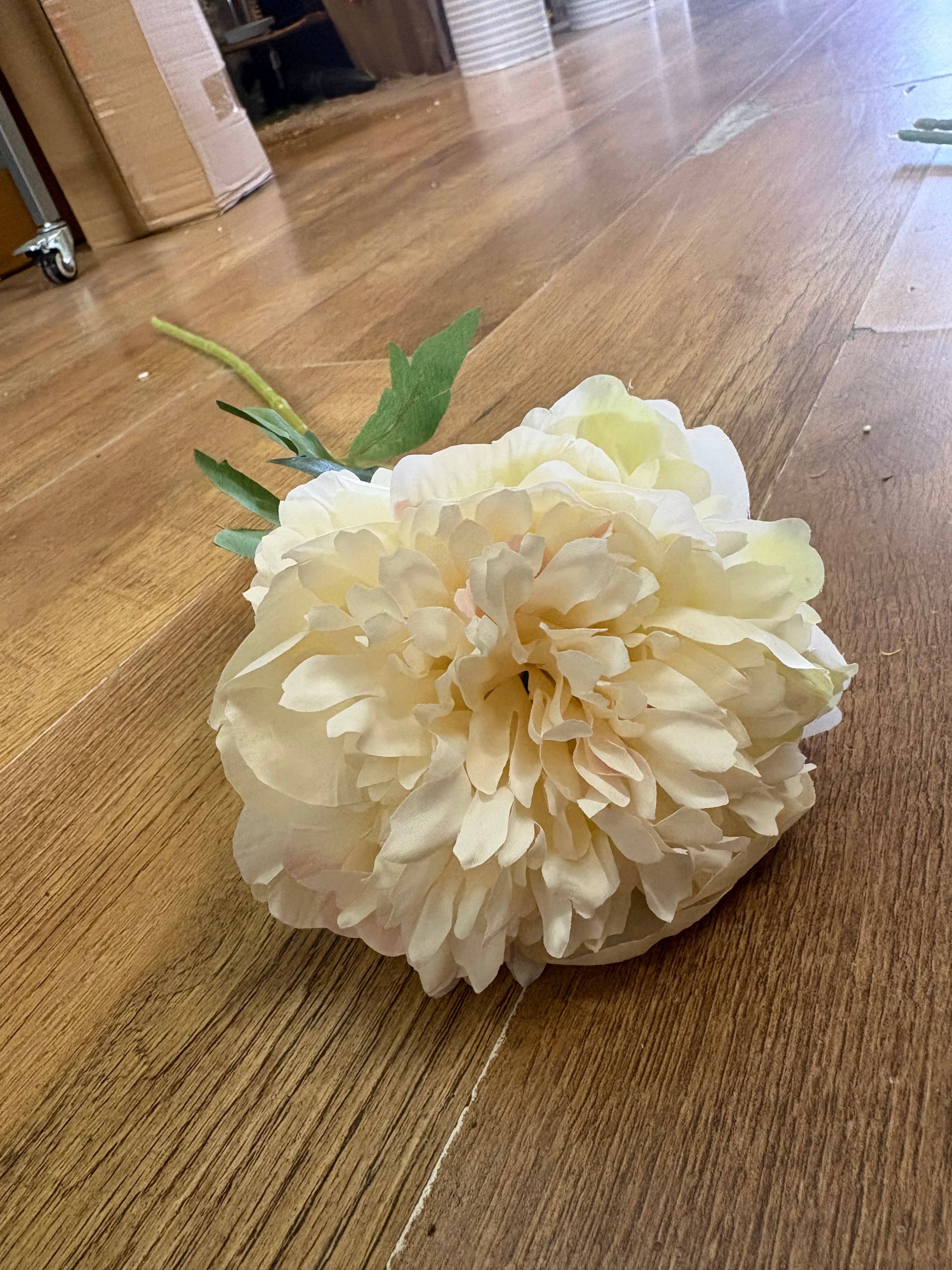 Long stem cream peony