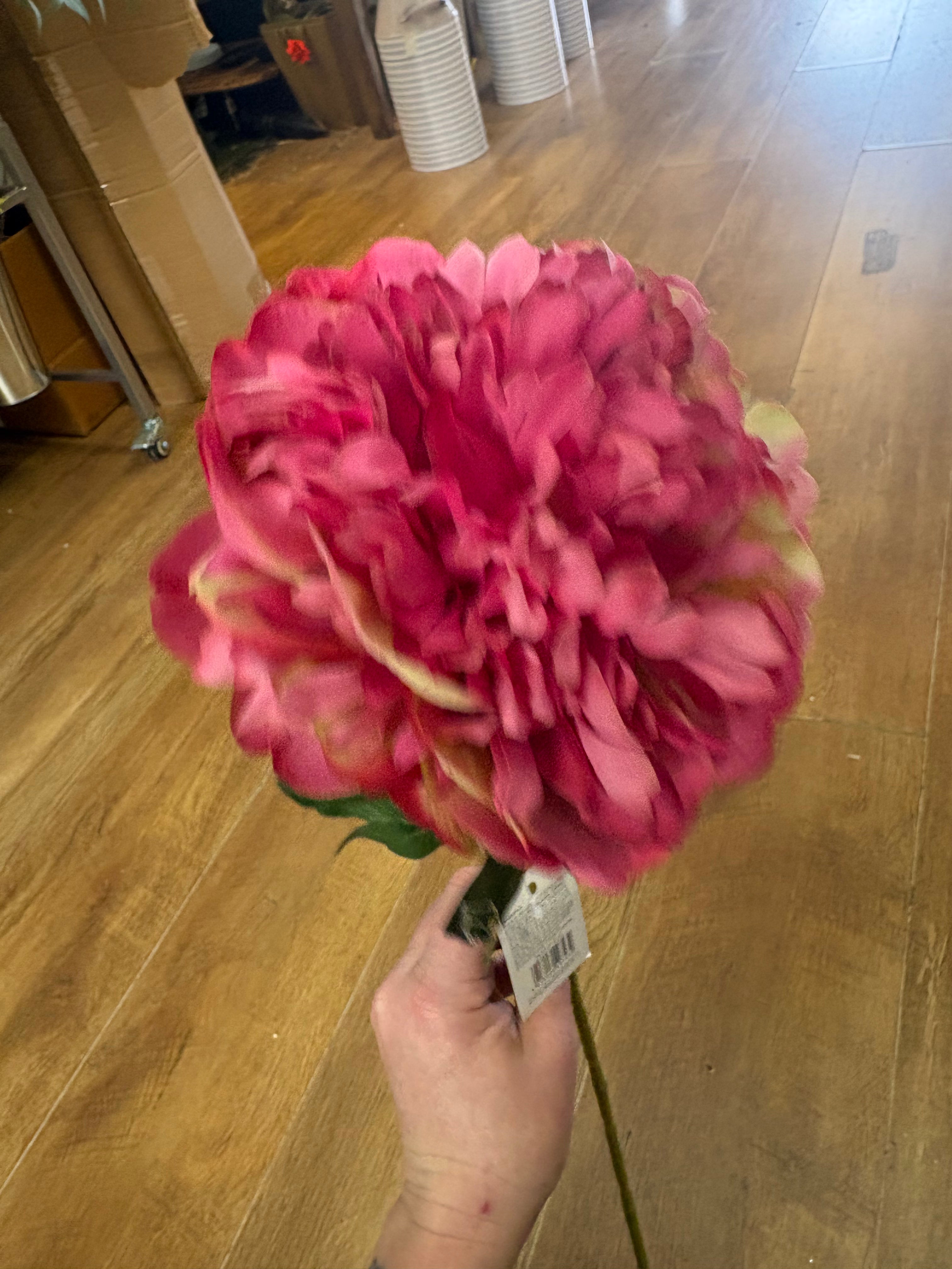 Long stem fuchsia peony