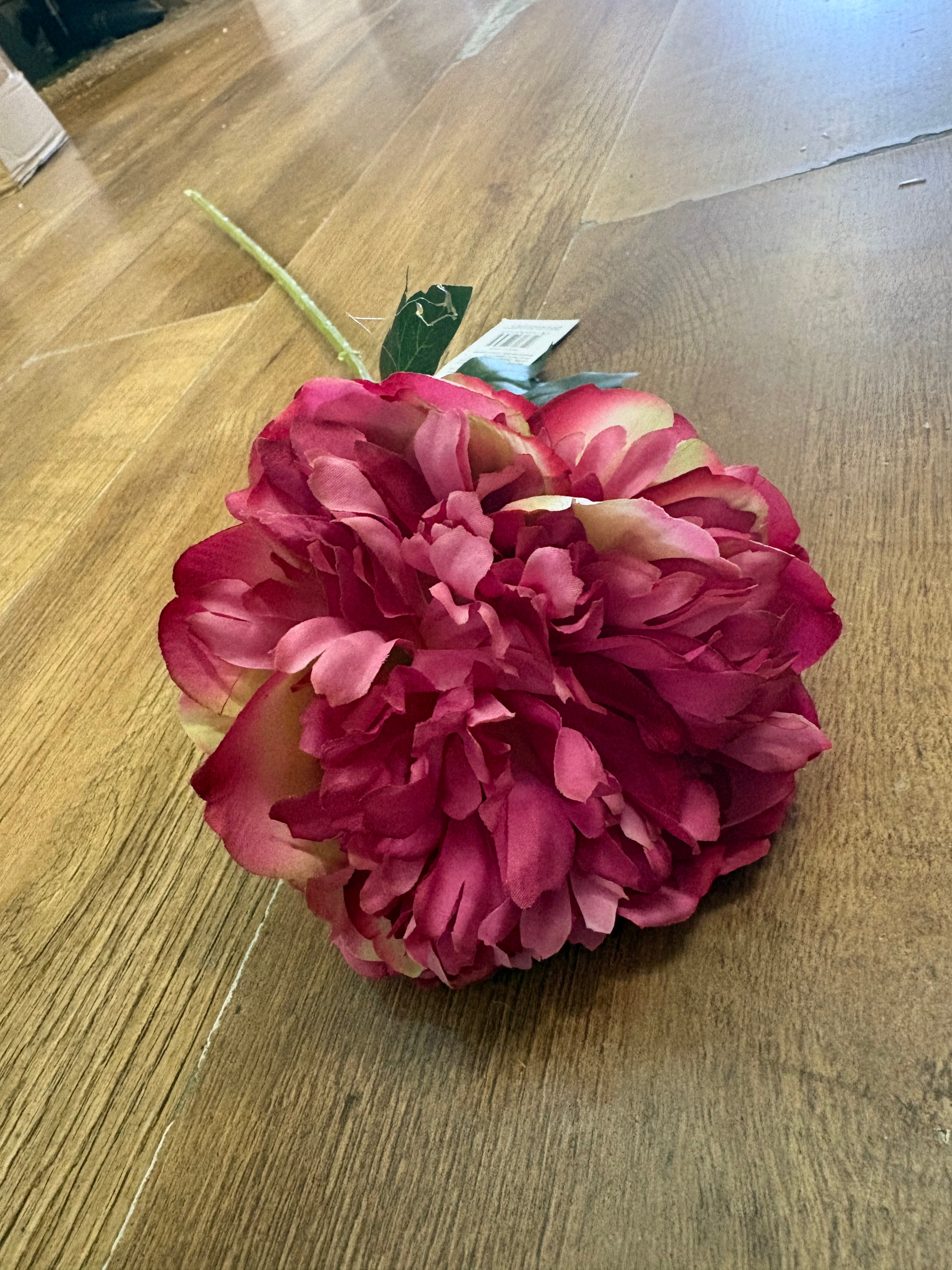 Long stem fuchsia peony