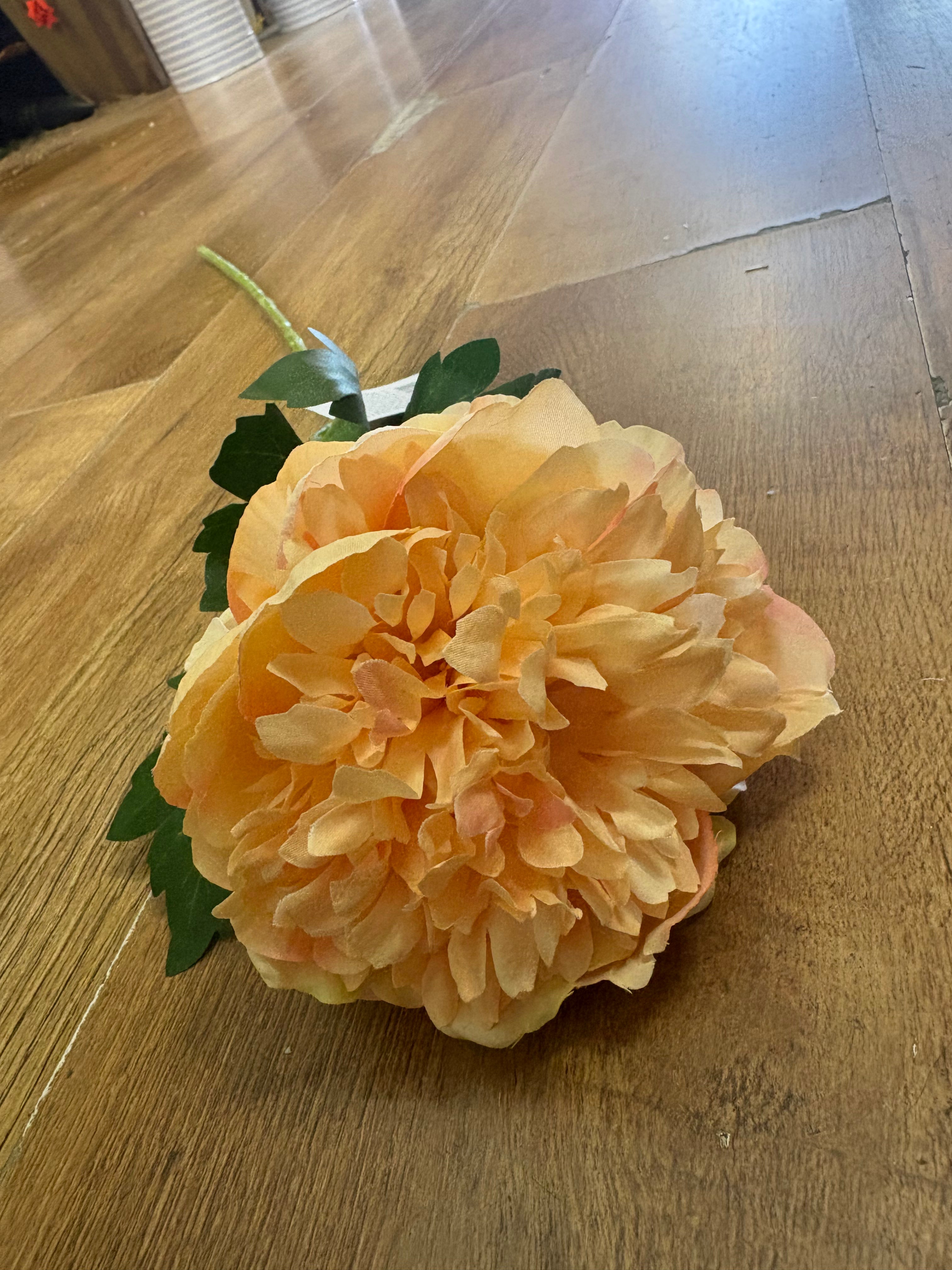 Long stem peach peony