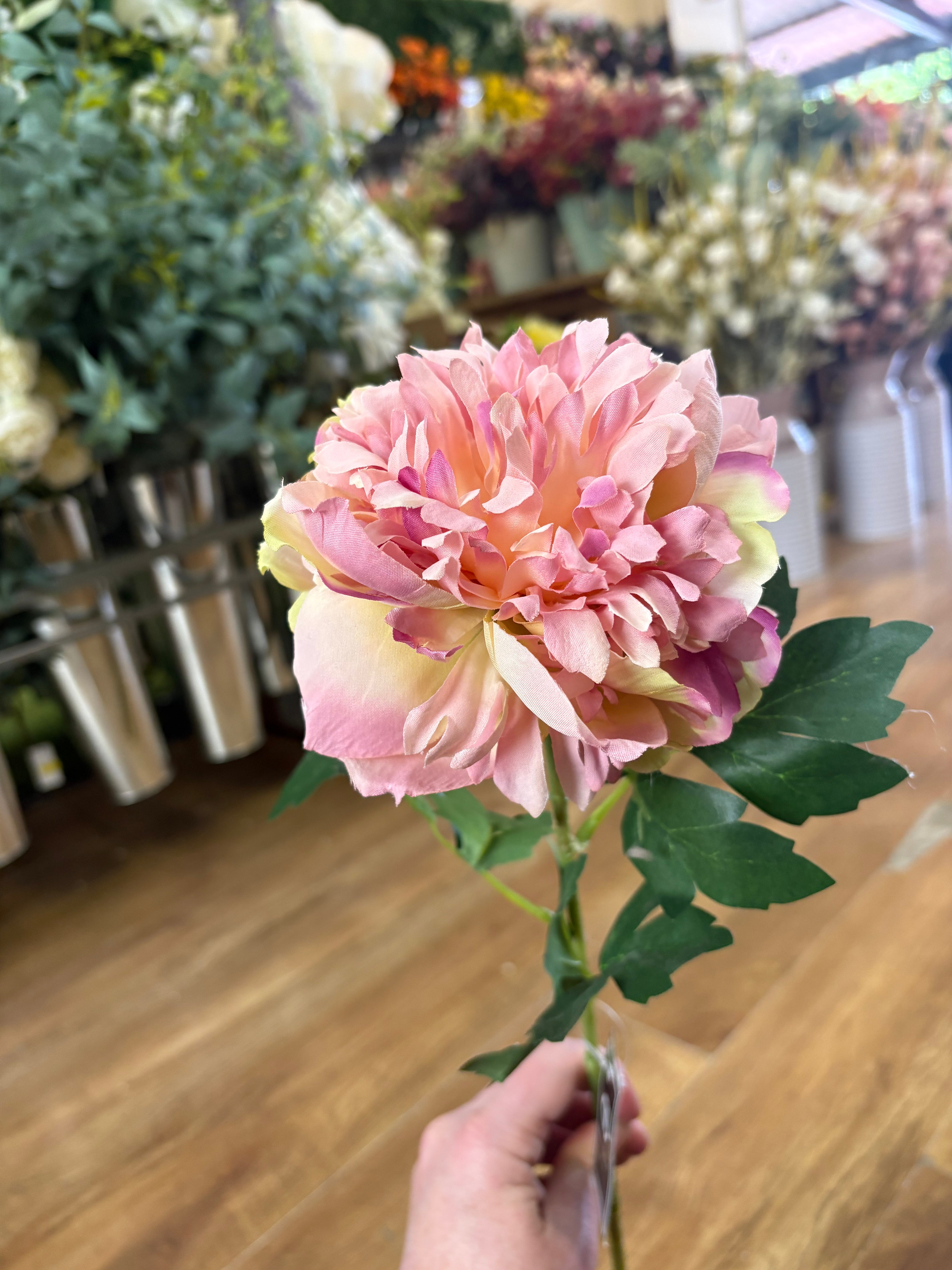 Long stem pink peony