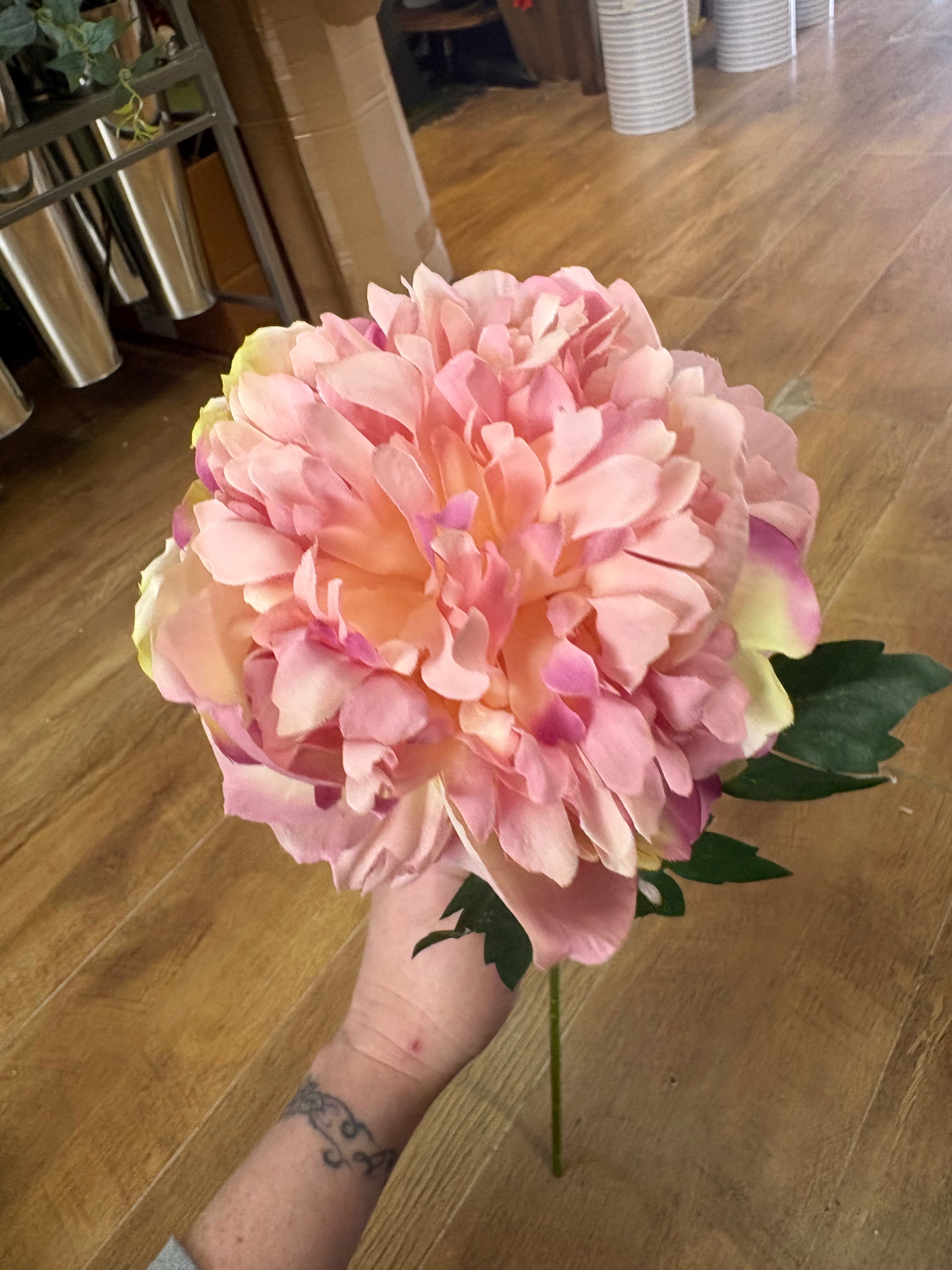 Long stem pink peony