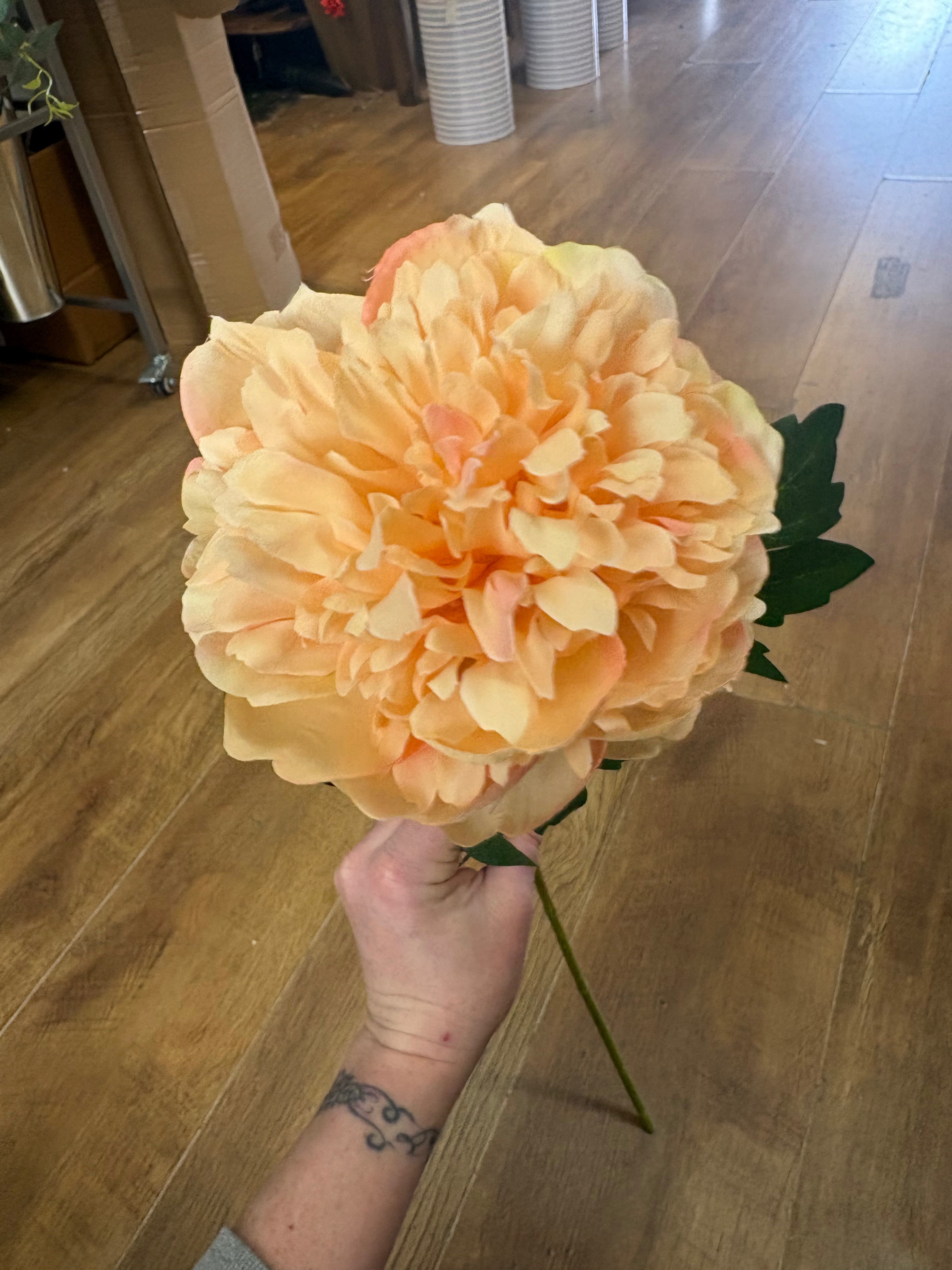 Long stem peach peony